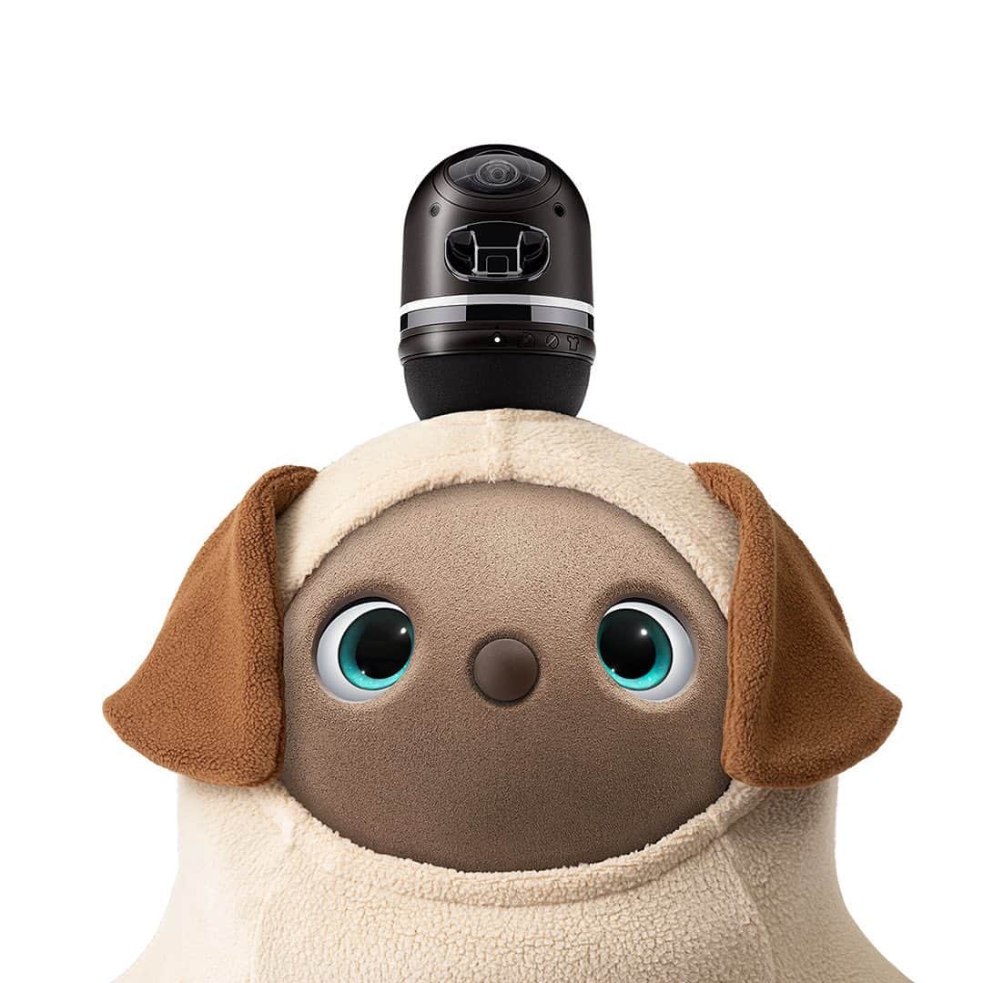 LOVOTのインスタグラム：「⠀ #ゴールデンレトリバー の #子犬 を思わせる 大きく垂れ下がった耳、小さなしっぽが 愛くるしい。 ⠀ ＊8月25日販売開始 ⠀ ⭐︎NEW! @lovot.life ⠀ #LOVOT #らぼっと #ロボット #robot #だんだん家族になっていくLOVOT #アニマルウェア#新発売  #フリース #パピー#puppy」