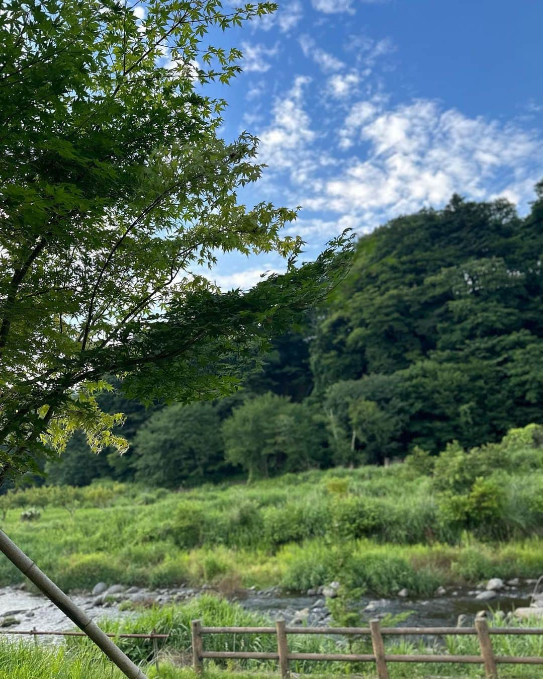 板野友美さんのインスタグラム写真 - (板野友美Instagram)「ワタチの夏休み。vol2🍧 夏に一度だけ、🙋🏻‍♂️２日間のお休みがあったので 家族で那須のほうへ🌳  温泉と、お蕎麦と大自然を堪能し癒され 帰り、初めての那須ハイランドに寄って個人的に娘に似てると思ってる ミーアキャットさんとも写真を撮り、とっても満喫した旅となりました🌿 娘は最近大好きなわんわんをずっと連れての旅してました そんなところも女の子だなぁーと🩷成長を感じ。  9枚目🙋🏻‍♂️は目が💤ってたので隠してあげたよ🫶🏻  またYouTubeに家族旅行あげるので待っててね💙💭  #ワタチの夏休み #ベビちん  ※子供ちんの事は私のフォロワーさんに向けて Instagramには載せますがnewsにはならないと嬉しいです😌」8月23日 14時39分 - tomo.i_0703