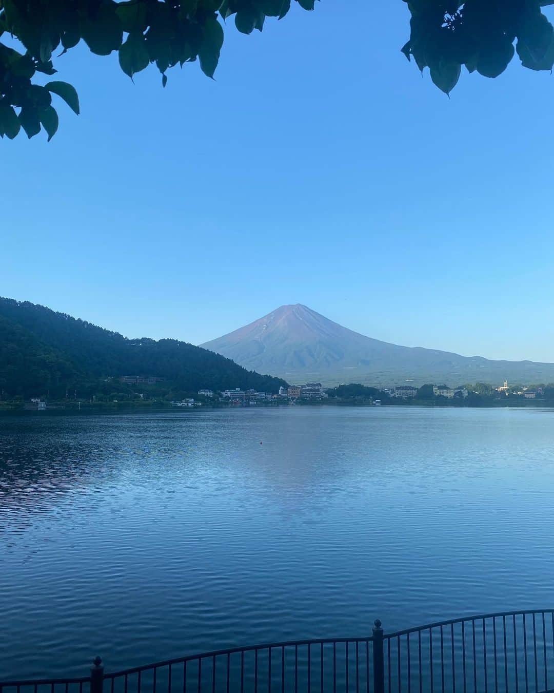 中越典子さんのインスタグラム写真 - (中越典子Instagram)「1.東京の道端で見つけた BIGなお花！！ かっこいいデザイン！植物の美しさに驚きでした♡ 2.夏の富士山。五合目まではじめて行きましたが、赤い土が魅力的で迫力があり、なんだか懐の大きさを感じ幸せをもらいました。 #富士山#河口湖#黄色い花#赤土#自然の力」8月23日 14時41分 - nakagoshi_noriko.official