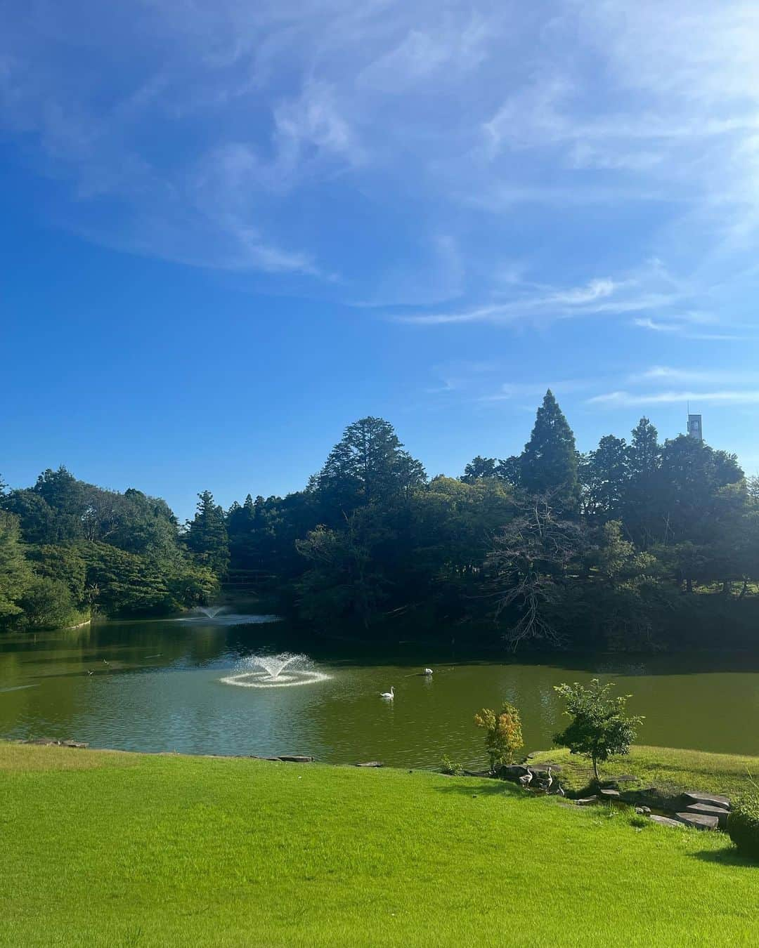 三村朱里さんのインスタグラム写真 - (三村朱里Instagram)「🦢🍃🍃🖼　私なりの夏やすみ #josefalbers #dic川村記念美術館」8月23日 14時47分 - akarimimura