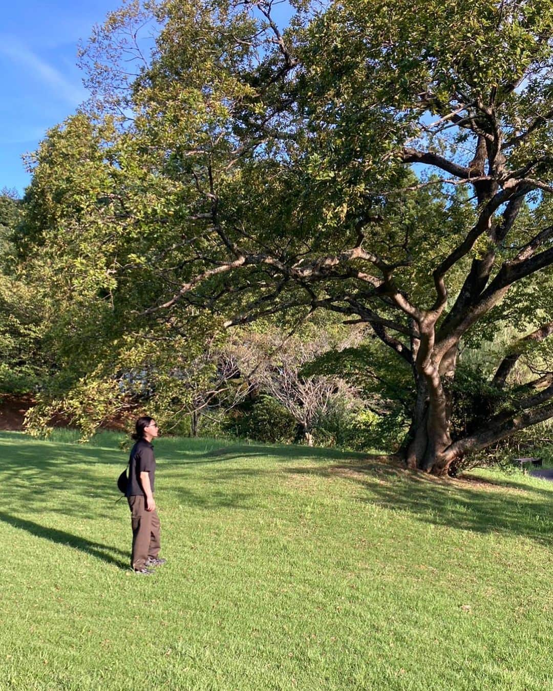 三村朱里さんのインスタグラム写真 - (三村朱里Instagram)「🦢🍃🍃🖼　私なりの夏やすみ #josefalbers #dic川村記念美術館」8月23日 14時47分 - akarimimura