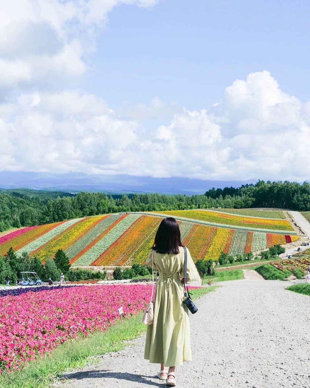 堀江聖夏さんのインスタグラム写真 - (堀江聖夏Instagram)「⌇ 北海道@四季彩の丘𓂃 𓈒❁⃘ ⁡ 北海道投稿、まだまだ続きます🌷 ⁡ この写真、とってもお気に入り📸♡ すずこ、ありがとうっ𓅮 ⁡ お花の絨毯が広がっていて とてもきれいでした◎ ⁡ @and.couture のワンピースがぴったりっ🌱  ________________________________  #北海道 #japan #四季彩の丘 #美瑛 #美瑛町 #ポートレート」8月23日 14時50分 - mina_horie