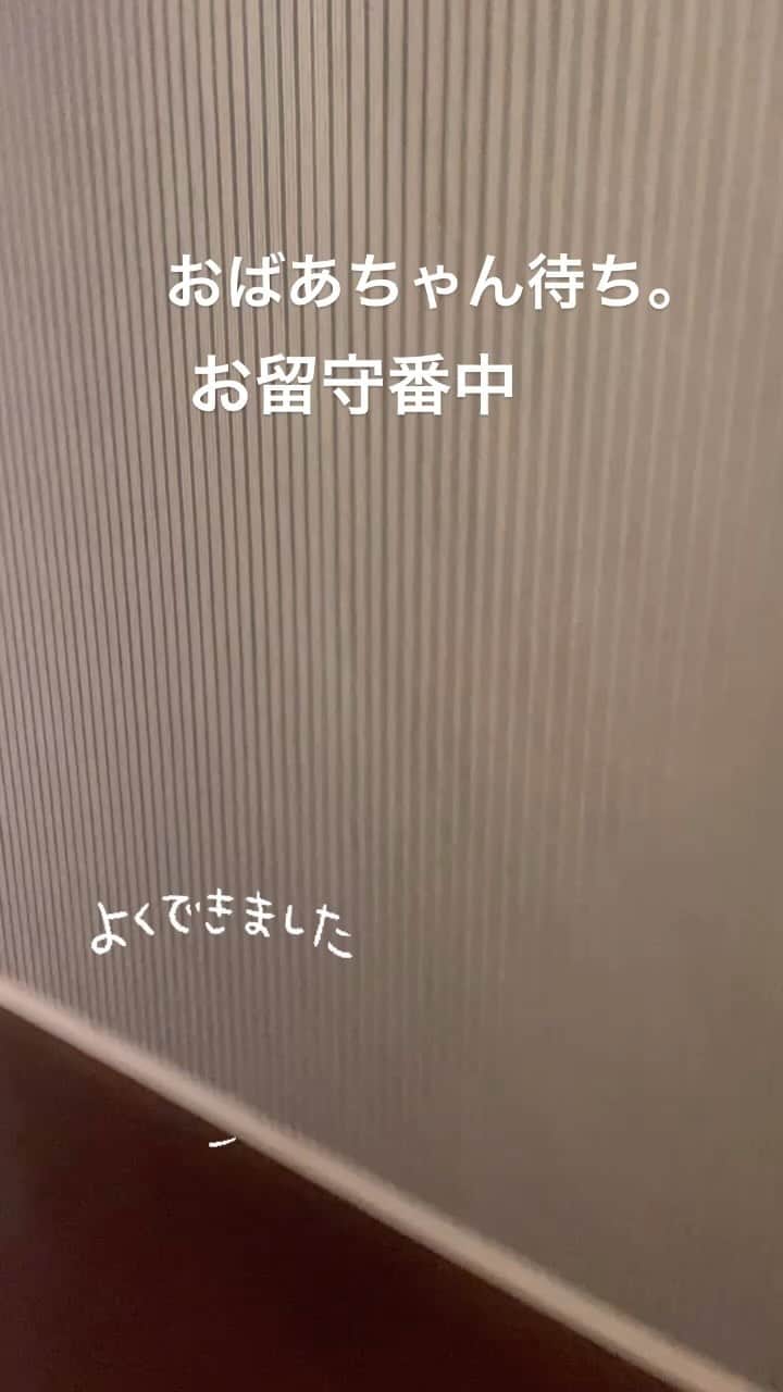 知念芽衣のインスタグラム：「おばあちゃんを待って、 おばあちゃん家の玄関で 置き物状態のサニー氏💛 #トイプードル  #トイプードル5歳 #愛犬との暮らし」