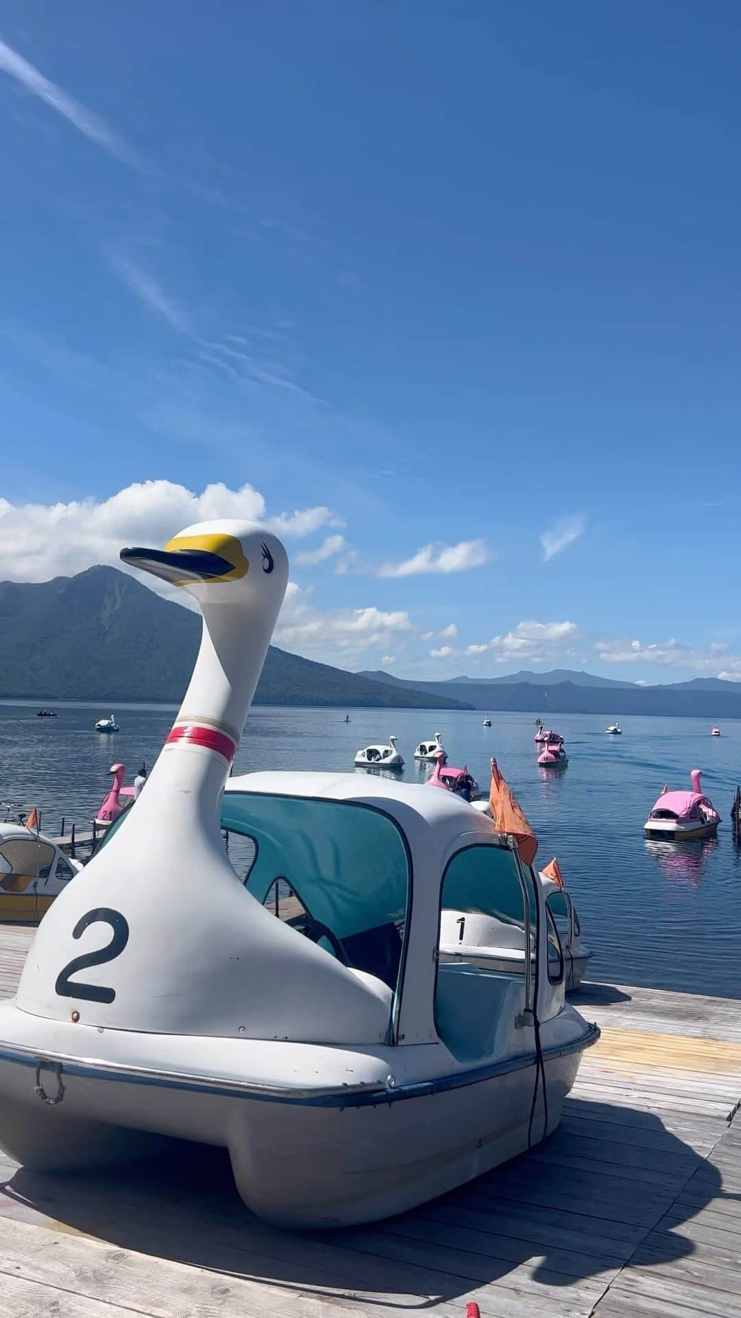 珠久美穂子のインスタグラム：「支笏湖で高速モーターボート体験🚤  カメラ📸を向けたら 必ず何かやってくれるゆかちゃん😆 @graceoriental_yoohyang  あ〜楽しかった😆  透明度抜群！ 支笏湖の水しぶきを上げながら 時速80kmで駆け抜ける爽快感✨✨ひゃー！  ぐんぐんスピードがあがる時のワクワク感 船を傾けて味わうスリル 真下で跳ね上がる水の涼しさ そして湧き上がる歓声！  ずっと『ふぉ〜〜！！』って言ってました😆  今回は「ギャラクシー」に乗ったので 次は「フェニックス」でさらに ダイナミックな水上の冒険をしてみたい😃  📍支笏湖観光船 〒066-0281 北海道千歳市支笏湖温泉  0123-25-2031   https://shikotsu-ship.co.jp   営業期間	4月中旬～11月上旬 営業時間	8：40～17：10 (時季により変更有)  #支笏湖 #高速ボート #北海道 #アクティビティ」