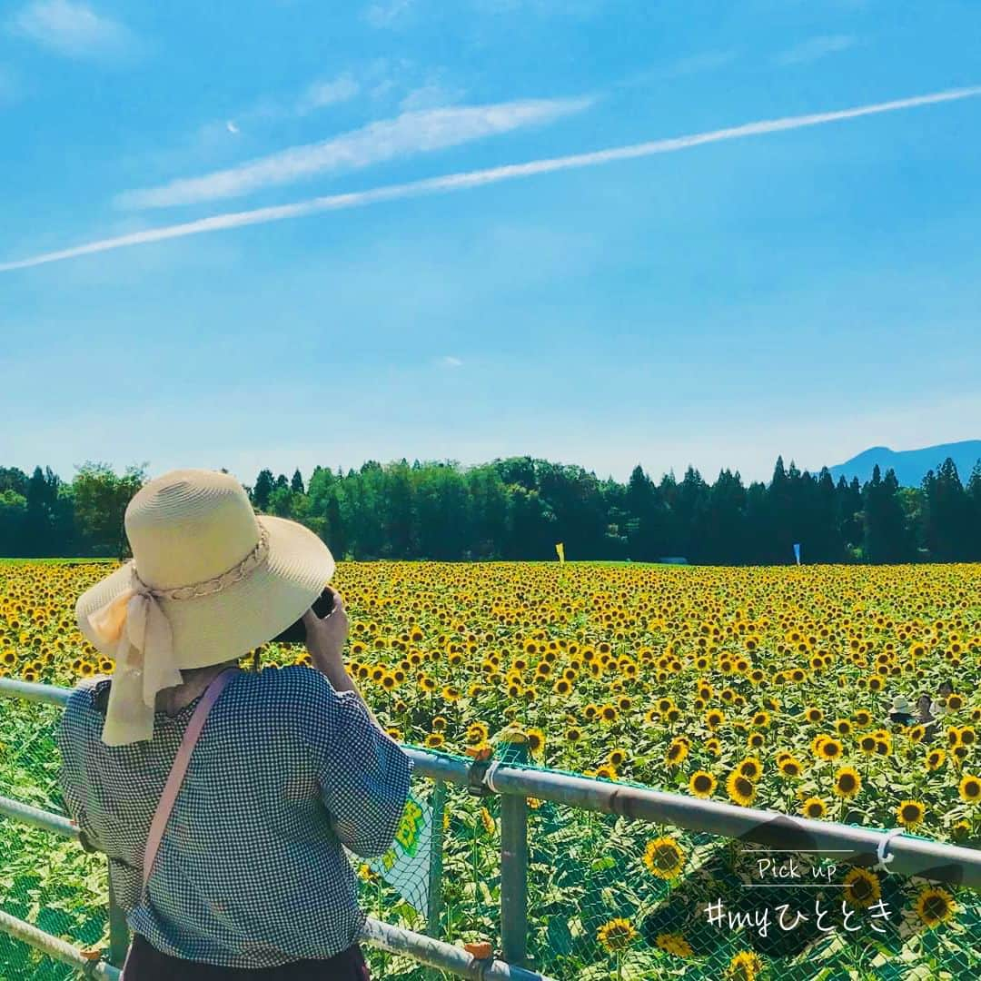 JTさんのインスタグラム写真 - (JTInstagram)「Pick up #myひととき  見渡す限りの広大なひまわり畑。​ 夏を感じるこの美しい風景が、私にとって夏のひととき。​  日本には四季折々の絶景があります。​ 季節を感じながら旅行を楽しむと、​ より一層素敵なひとときを過ごせるかもしれません。​  夏も少しずつ終わりに近づいてきました。​ 思い残すことはありませんか？​ みなさまが素敵な“夏のひととき”を過ごせますように。​  @pink.rby129 さん、素敵な投稿をありがとうございます。​  “Pick up #myひととき”では、JTでハッシュタグ投稿キャンペーン開催中に指定のハッシュタグをつけて投稿いただいた写真と「 #JTひとときmagazine」をつけて投稿いただいた写真の中から、「かけがえのないひととき」や「大切な時間」を感じる一枚をご紹介しています。​  たくさんのご投稿お待ちしております。​  #JT​ #ひととき​ #かけがえのないひととき​ #JTひとときmagazine ​ #旅行​ #旅行写真​ #思い出グラム​ #思い出pic​ #思い出作り​ #思い出の一枚​ #ひまわり​ #ヒマワリ​ #向日葵​ #ひまわり畑​ #ヒマワリ畑​ #向日葵畑​ ​#夏の思い出​ #夏の景色​ #夏の風景​ #夏のひととき​ #自然美​ #自然の美しさ​ #大自然」8月23日 16時00分 - jt_official.jp