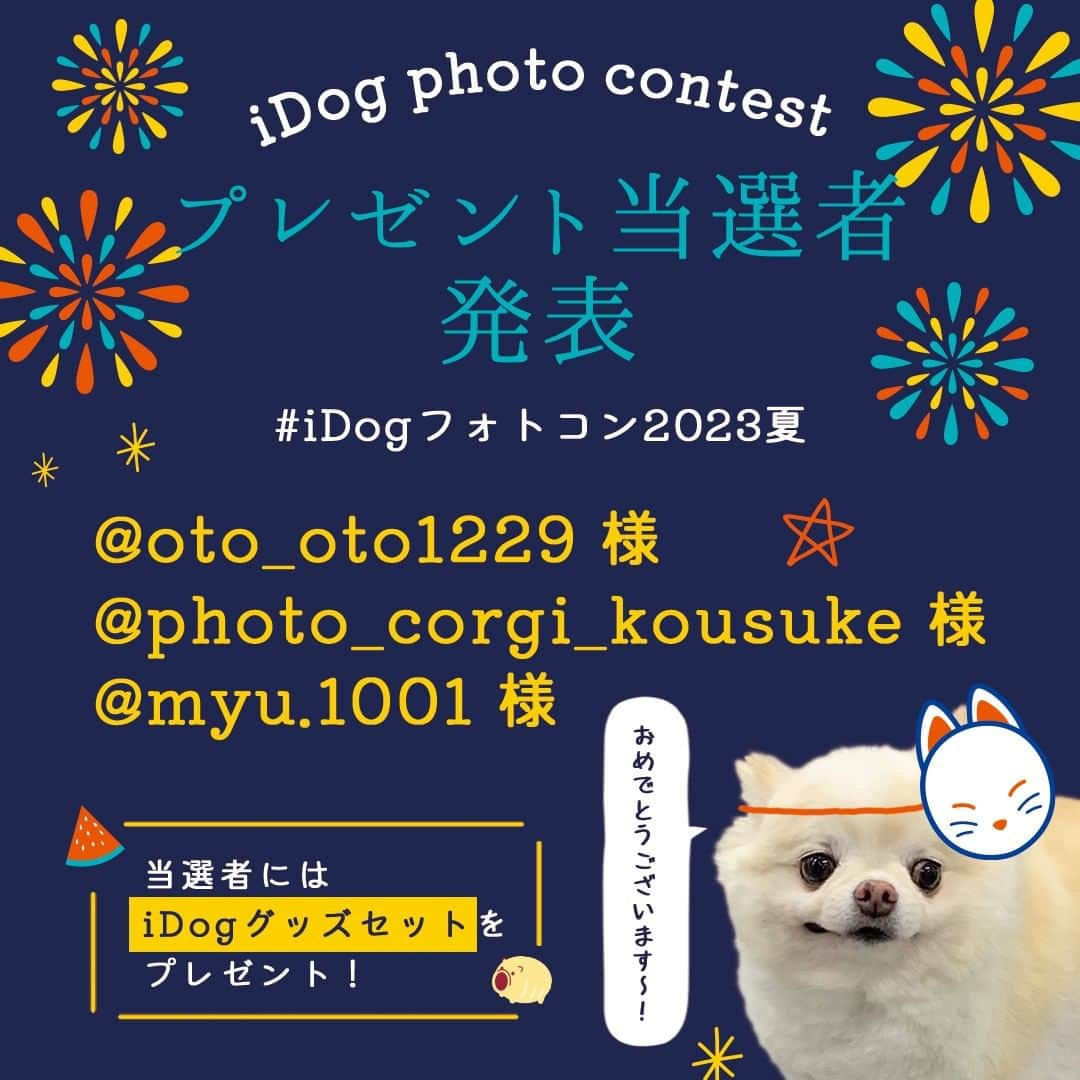 iDog&iCatのインスタグラム