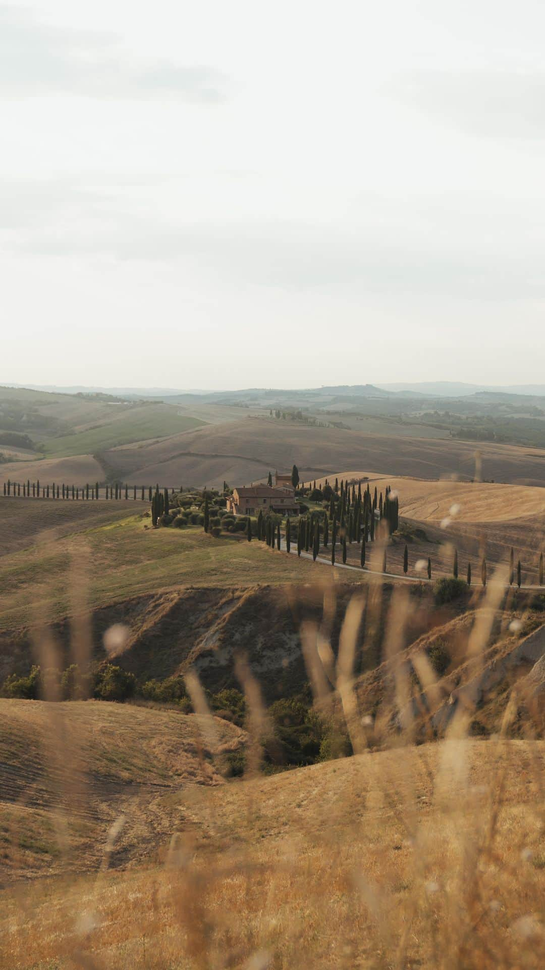 Enzo Cariniのインスタグラム：「Family trip in Tuscany, Italy 🇮🇹 I really like this place, do you like the cinematic look ?」