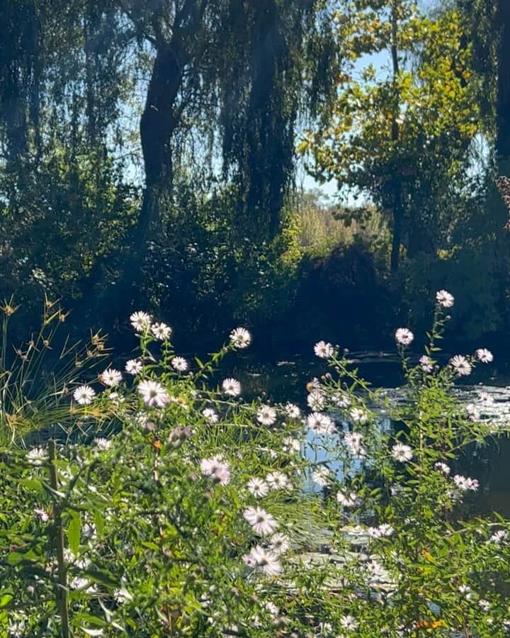 カイトアンドバタフライのインスタグラム：「Postcards from Kite and Buttetfly🍃#monetsgarden   One of the most prettiest places to visit🍃   #kiteandbutterflybohème #summer #lifestyle #travel #france」