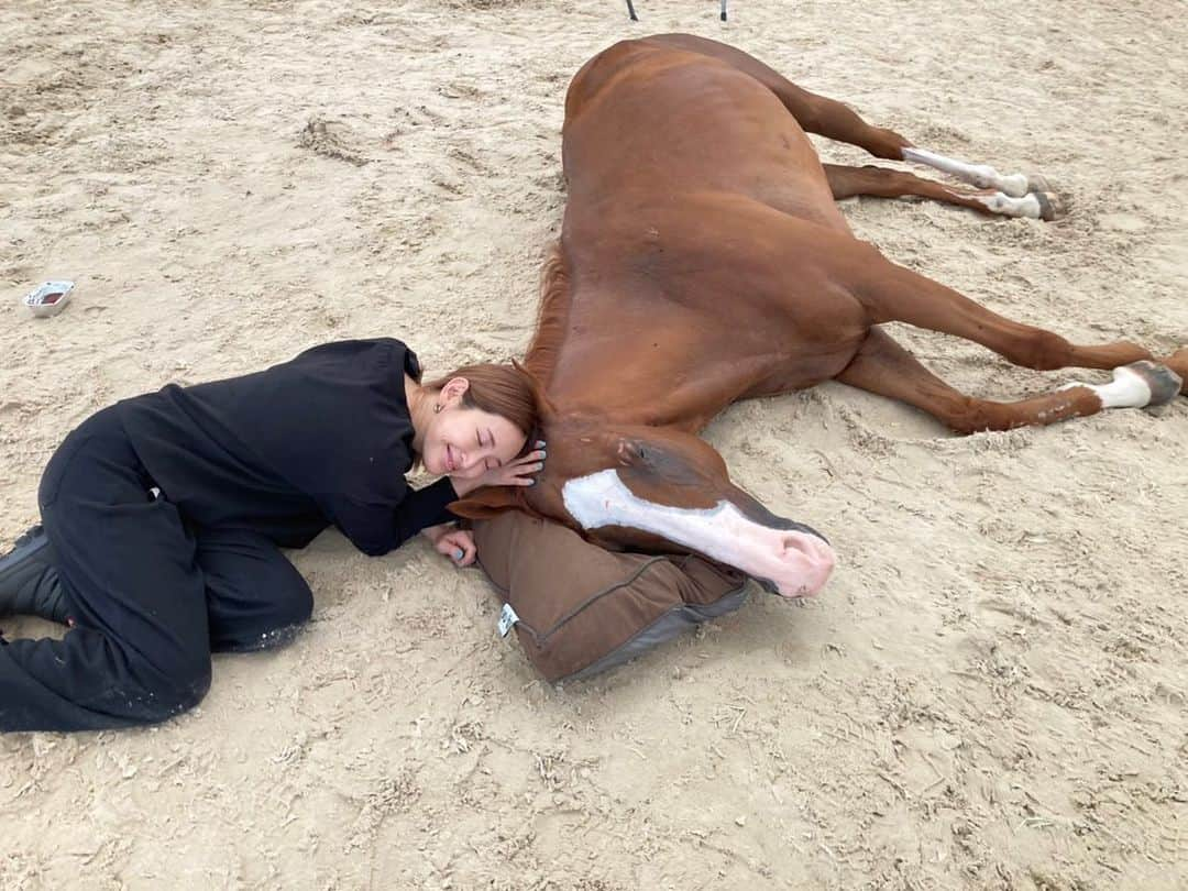 紗栄子さんのインスタグラム写真 - (紗栄子Instagram)「今日、明日 @nasufarmvillage は定休日となっております🐴🌿  そして今日、8月23日はバンブスの命日です🐎🤲🏻🌻  去年の今日は私にとって人生で最も辛い1日となりました。  まさかそんな結末になるとは知らず、前の日から立てなくなったバンブスを、みんなで回復を願いながらサポートをしていて、朝に獣医さんがいらっしゃってからバンブスが天国へ旅立つまでにはそう時間はかかりませんでした。  腰を悪くして真っ直ぐ歩けなり殺処分対象になったバンブスは、厩務員さんからレスキューの連絡があり、2年前にNASU FARM VILLAGEにやってきました。  馬部のみんなとリハビリを頑張りながら順調に回復をしていたバンブスは、外でのお散歩も、なんなら走れることもできるようになってきていて、そんな矢先の出来事で、その夜も私たちはまた立てると信じ、バンブスが諦めてしまわないように、しんみりしないように、馬場に拠点を作ってみんなで明るく夜通しサポートをしていました。  バンブスも何回も立ち上がって倒れてを繰り返し、休み休みでご飯もしっかり食べてくれて、本当によく頑張っていました。  朝になって、獣医さんがやってきて、そう先は長くないこと、このままサポートをし続けた場合に起きるその他の死亡リスク、24時間のサポートが必要とされる状態で通常営業も両立していかなければいけないスタッフの体力...  私がそれを悟るにはそう時間はかかりませんでしたが、そのことを受け入れることがなかなかできず、ただただ涙が止まりませんでした。  獣医さんも、私の性格をよく知ってくださっており、優しく、私がそのことを受け入れられるように、本当に丁寧に、全てのことをゆっくりと伝えてくださいました。  理由がどうであれ、私が初めて安楽死の決定を下した日。  バンブスの命の灯火を私が消した日。  「安楽死」というものは、苦しんだ末に選ぶこともあるかもしれないと、馬の保護活動を始めた時にも、わんこたちを家族に迎え入れた時にももちろん覚悟はしていたことではありますが、まさかまだ生きたいと頑張るお馬さんに、まだ5歳だった若いバンブスに、その決断を下す日が来るとは、全く想像もしていませんでした。  今でもその事実に胸を締め付けられる時が何度もありますが、1年が経った今、やっと少しあの日のことをこうやって振り返り、話せるようになりました。  バンブスはNASU FARM VILLAGEにやってきた時に、YouTube「SAECHANNEL」で紹介したこともあって、たくさんの方に温かく見守っていただき、応援していただいた愛らしい男の子でした。  なので、本当はもっとちゃんとお伝えしなければと思っていたのですが、こんなに時間がかかってしまいました。  @nasufarmvillage は観光牧場として営業しておりますが、保護馬のセカンドライフを築く活動も並行して行っております。 お客様がNASU FARM VILLAGEで購入してくださった商品や飲食物、アクティビティの全てがNASU FARM VILLAGEの保護馬たちの支援に繋がります。  いまいる全てのお馬さんも、人のために働き、働けなくなった途端に人に必要とされなくなったお馬さんたちです。  みんなとっても可愛い子達で、でもそれだけでは生きる権利さえ与えられず殺処分されてしまうかもしれなかった子達です。  そんな危機があった子達でも、それでもいまファームにいる子達はとてもラッキーで、皆さんのサポートを受けながらファームにて安全な環境のもとたくさんの愛情に触れながら天寿を全うすることができますが、競走馬として生産された馬の8割にものぼる馬達が「行方不明者」というかたちで、活躍できないと判断されたとたんに殺処分され、ドッグフードや食用の馬肉となります。  いま、ファームでは馬部のスタッフも減ったこともあり、いま居る18頭のお馬さんを守るのに必死な状況ではありますが、今後正式に馬部の求人も始めて、同じ志を持つ仲間たちと共に既にいま居る馬達の生活を守りながらも、バンブスのような行き場のなくなった馬達を1頭でも多く受け入れられるように、より一層頑張っていきたいと思っております🤲🏻  皆様引き続きNASU FARM VILLAGEをよろしくお願い致します😌🤲🏻🐎🌿  人と動物と自然のそれぞれがそれぞれを支え合い、補い合っている愛の循環を感じる場所。  その優しい世界がリアルに広がるNASU FARM VILLAGEが私は大好きです🐎🌏👫👬🌿🤲🏻✨」8月23日 18時06分 - saekoofficial