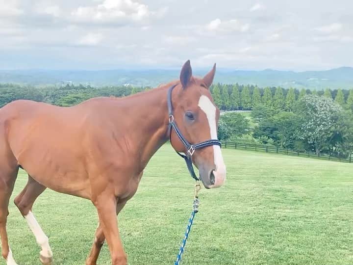 紗栄子のグルメインスタ