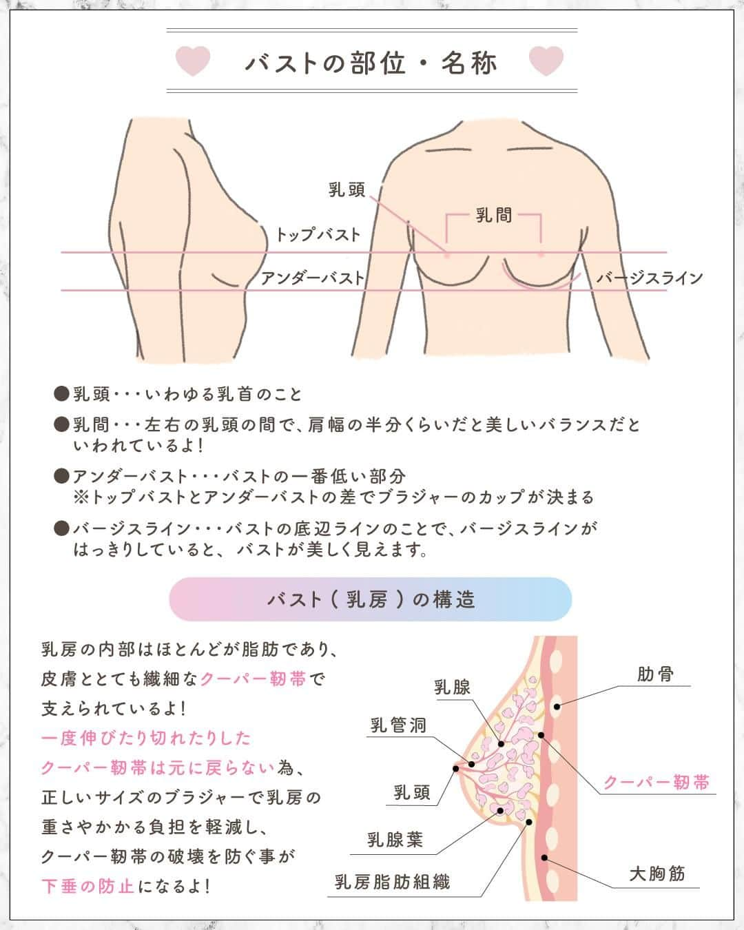 GOUKAKU［ゴウカク］さんのインスタグラム写真 - (GOUKAKU［ゴウカク］Instagram)「@rinmi_official ◀︎ブルベ最新情報はこちら 今回は、ブルベもイエベも関係なし！ 『バストの形診断』を紹介🩷 それぞれの形ならではの悩みによって おすすめな解決法を載せているよ！ 参考にしてみてね♡ ・・・・・・・・・・・・・・・・・・・・・・・・・ いかかでしたか？✨ 参考になったらいいねや保存をしてね🤍🫧  他にも特集してほしいブランドやコスメがあったら コメントで教えてね💕  rinmiは全てのブルベ⼥性をさらなる美しさへと導きます🌙 ・・・・・・・・・・・・・・・・・・・・・・・・・ #rinmi #美胸 #美ボディ #美ボディライン #ボディライン #美ボディメイク #バストアップ成功 #バストアップマッサージ #バストアップエクササイズ #バストアップ効果 #バストアップ方法 #バストアップトレーニング #バストアップケア #バストアップチャレンジ #育乳マッサージ #育乳中 #育乳 #育乳バストマッサージ #育乳成功 #育乳ケア #美容 #下着選び #バストケア #下着選び方」8月23日 18時00分 - rinmi_official