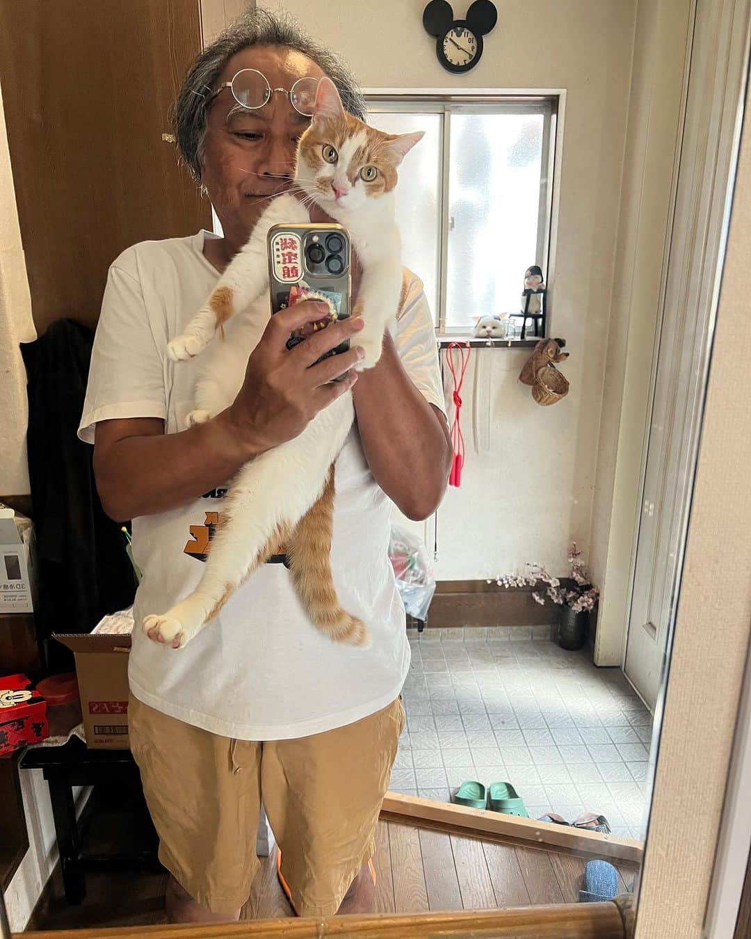 Kachimo Yoshimatsuのインスタグラム：「1階から退場！ の時の記念撮影｡  #うちの猫ら #猫 #oinari #ねこ #ニャンスタグラム #にゃんすたぐらむ #ねこのきもち #cat #ネコ #catstagram #ネコ部 http://kachimo.exblog.jp」