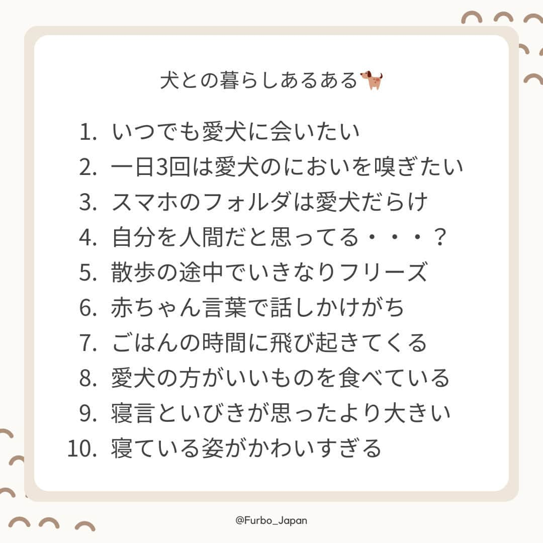 Furbo ドッグカメラのインスタグラム：「@furbo_japan 👈 他の投稿はこちらから  あなたはいくつ当てはまりましたか？🤭  犬友さんと盛り上がる”あるある”が 他にあればコメントでぜひ教えてください🐶✨     ⋯     「うちの子のお留守番が心配で 　外出するのが不安……🥲」  そんなお悩みを抱えているあなたを……  No.1ペットカメラの #Furbo ドッグカメラ 360°ビューが サポートします！💛  ✦ 回転360°ビューカメラ&自動追尾機能つき ✦ リモート操作可能のおやつ機能 ✦ カラーモードを新たに搭載した暗視機能 ✦ 超クリアな双方向会話で愛犬とおしゃべり ✧ AI活用+機能のFurboドッグシッターでさらに安心！ 　　　　　　　　　　　　　　　　etc… 最安値プランは公式サイト限定🤭  プロフィールのリンクから 一番上のボタンをタップしてみて🐶🐱✨  ▶︎ @furbo_japan            #Furbo #ファーボ #ドッグカメラ #ペットカメラ #見守りカメラ #お留守番カメラ #犬好きな人と繋がりたい #犬すたぐらむ #愛犬家 #愛犬との生活 #愛犬との暮らし #愛犬との生活 #犬との暮らし」