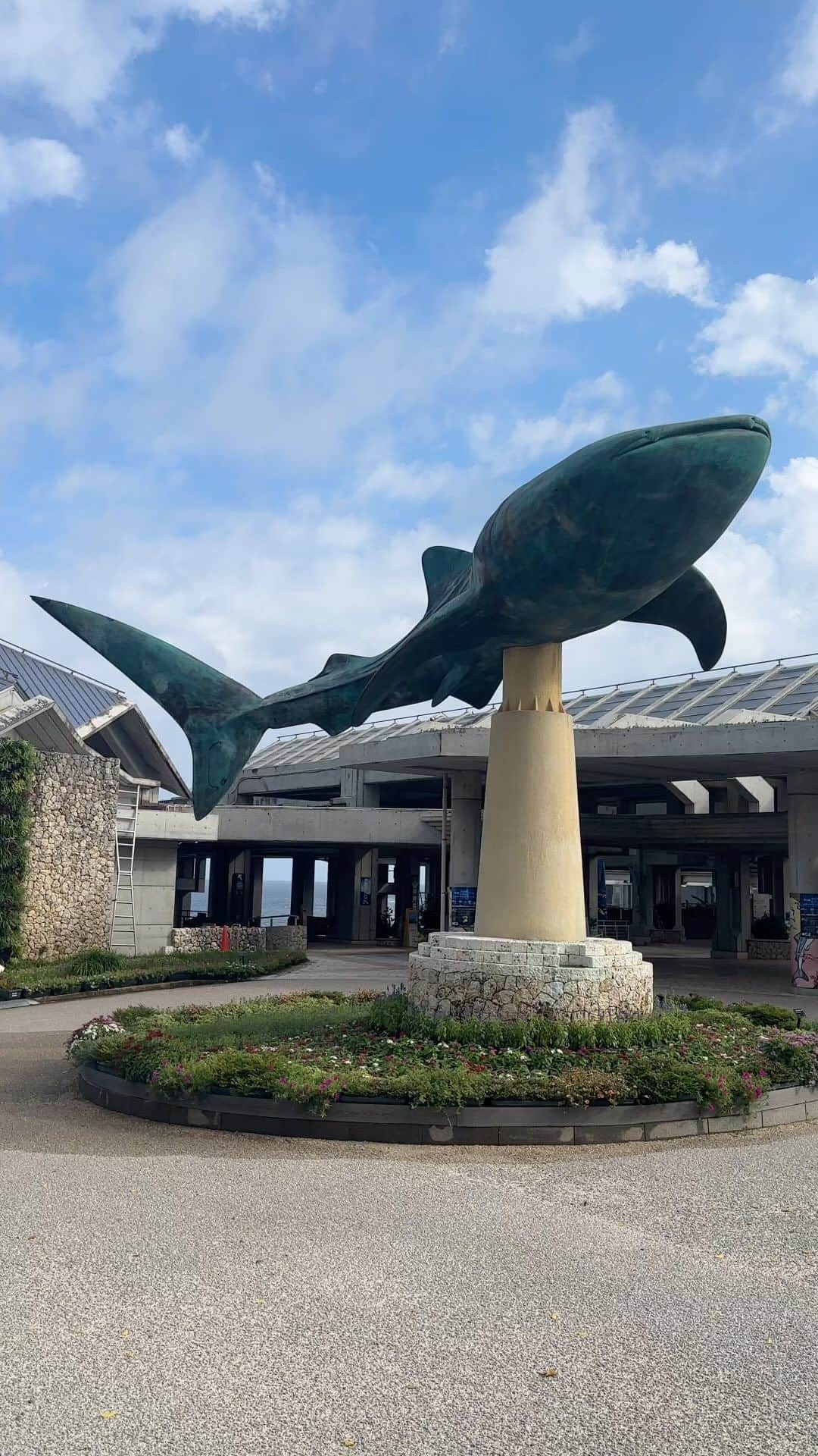 石井奏美のインスタグラム：「🌺沖縄美ら海水族館🌺  沖縄の海に潜り込んだような 素敵な水族館🐟🐡 ジンベイザメを初めて見られたのが とっても嬉しかった〜✨  沖縄のリール投稿は一旦これでおしまい！ 実は第2弾のロケもありますので また楽しみにしてくださると嬉しいです✈️  お付き合いいただき ありがとうございました💐🧸  #沖縄#沖縄旅行#沖縄美ら海水族館 #美ら海水族館#水族館 #香川#岡山#アナウンサー #okinawa#japan#japantrip#japantravel」