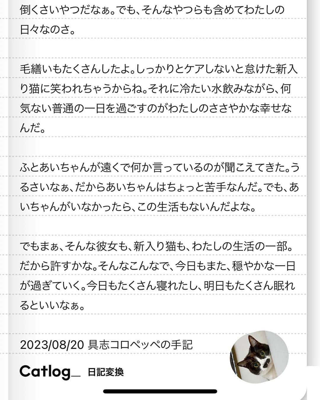 もじゃころさんのインスタグラム写真 - (もじゃころInstagram)「先月から体調崩してしまい、脱水症状がひどくてご飯全然食べれない日もあったりで体重も落ちてしまったチョッチュ具志コロペッペ😢 幸い血液検査やエコー検査ではひどい脱水以外は異常なく、数日に一度通院して点滴と注射を続けてだいぶ良くなり、ご飯もいつも通りちゃんと食べれるようになりました😭🩷   ペッペにはCatlogというスマート首輪を付けていますが、離れていてもスマホのアプリで「今水を飲んでいる」とか「ごはんをたべている」とか「毛づくろいをしている」とか1日の行動を把握できるので、特に体調の悪い時には頻繁にチェックして、とても助かっています。（これがかなり正確なデータなんです…！）  仕事で家を留守にしていると、ペッペが1日どのように過ごしているのかわからないので、元気に見えてもそうではなかったり、体調の変化にもいち早く気づけてほんとにおすすめです！  アプリには最近期間限定で猫様の日記機能が追加されて私も早速やってみました！猫の性格などを入れると、まるで本人が書いているかのような日記が😂🩷（写真8,9枚目）  新規の方は8/24〜8/31まで最大41%OFFのセール価格で購入できるとのことなのでこの機会にぜひ！！  また、こちらの招待コード→ 4XA4UA で2ヶ月間月額料金が無料になるのでもしよかったら使ってください！！  #チョッチュ具志コロペッペ #PR #Catlog #catlogのある生活」8月23日 19時29分 - mojyacoro96