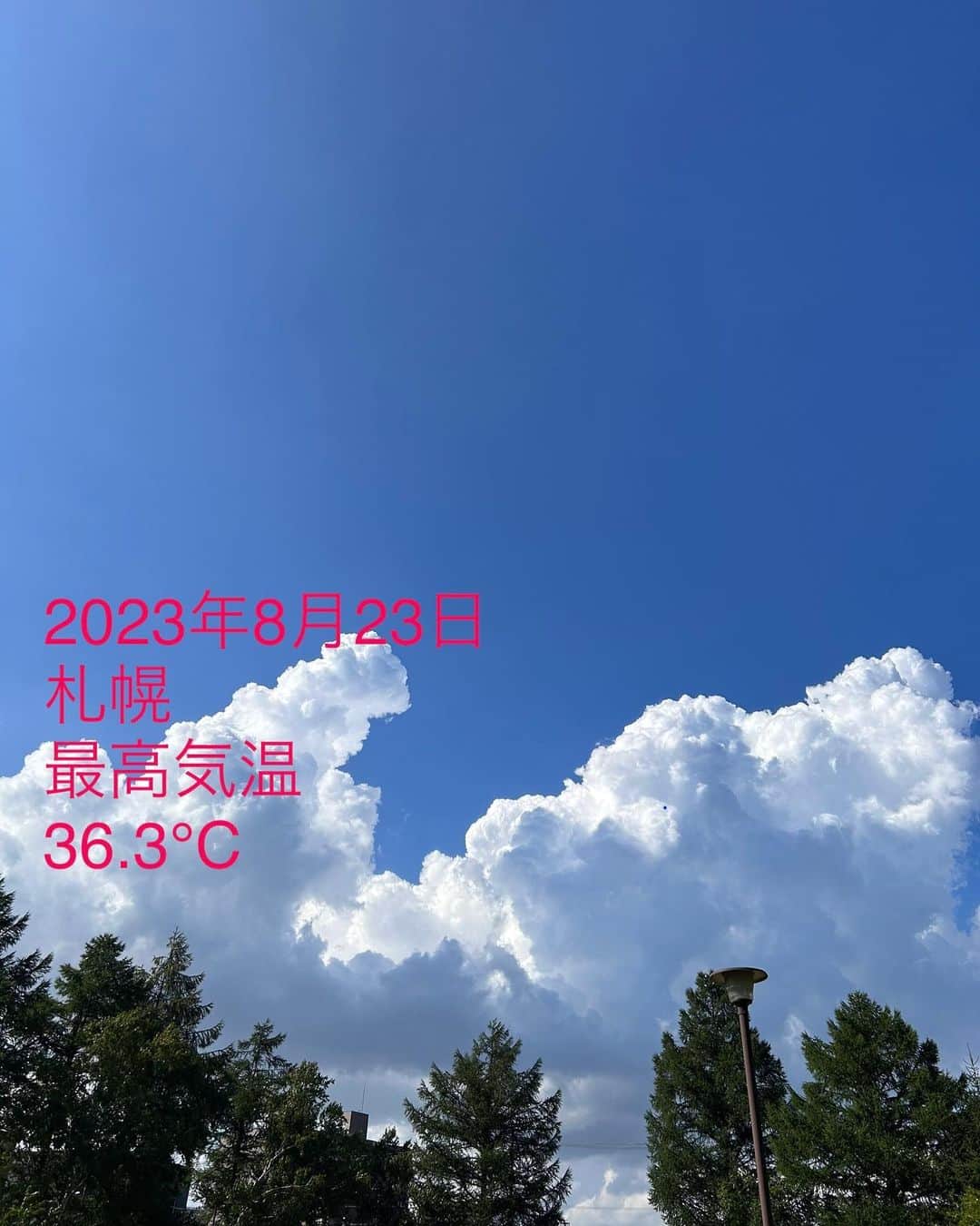 神田昭一さんのインスタグラム写真 - (神田昭一Instagram)「歴史に残る一日なのか、 新たな歴史が始まった日なのか  数十年後の答え合わせ。  #札幌 #36.3℃ #観測史上最高 #2023年8月23日 #気象予報士 #神田昭一」8月23日 19時48分 - shouichi_kanda