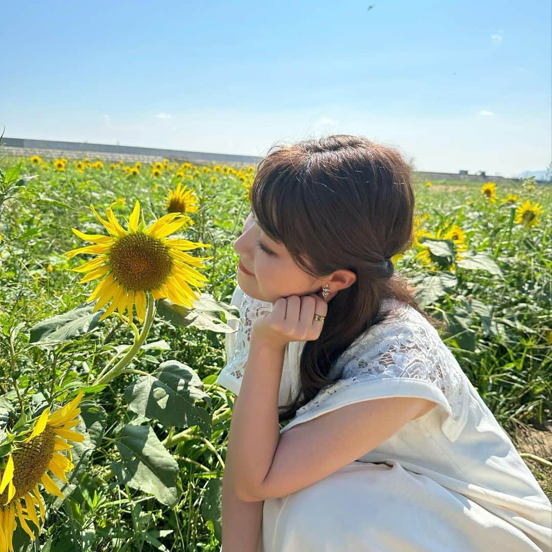 遠野愛のインスタグラム：「2023.08.23 きょうは二十四節気の処暑 厳しい暑さがおちついて朝夕には涼しい風が吹く。らしい… とは思えない暑さが続いてますよね😓 先週末に駆け込みでひまわり畑にいきました🌻 もう元気を失ってきてたけど近くでみるとちゃんとキレイ♡ 気に入ったのでトプ画も変えてしまった〜！ 季節感的にもつのはあと1ヶ月くらいかしら  #夏 #ひまわり #向日葵 #🌻 #花の海 #山口 #山口観光」