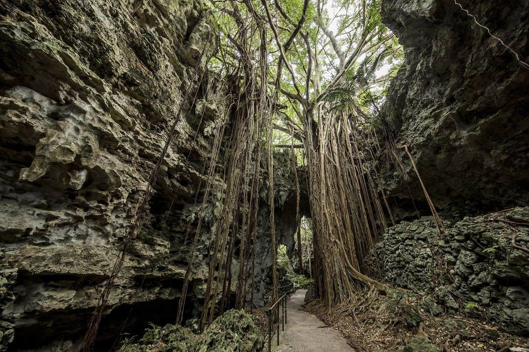 Be.okinawaのインスタグラム：「Explore the stunning Valley of Gangala, a historic valley formed by the collapsing of a limestone cave light years ago🤩   Traces of ancient people who lived more than 20,000 years ago have been discovered, and ongoing excavation research is still being carried out in the valley! Make advanced reservations to join a tour to get to know the wonders✨ of the valley and feel the never-ending flow of time as you walk through the ancient grounds. You'll also have exclusive access to the Cave Cafe, reserved only for tour participants!   *Guided tours are available only in Japanese   #japan #okinawa #visitokinawa #okinawajapan #discoverjapan #japantravel #okinawanature #nature #natureokinawa #limestonecave #explorenature #okinawavalley」