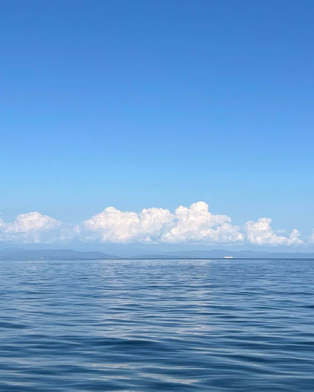 高本采実さんのインスタグラム写真 - (高本采実Instagram)「🐟 NHK総合「巨大魚＆幻の魚を追え！ナニワの魚を大調査　第4弾」  2023年8月24日 19:57〜20:45（NHK総合・関西地方）  今年もやってきました！第4弾です！ 今回はお馴染みの最強ペア🔥ミサイルマン西代さんと一緒に、「黄金ハモ」を捕獲しにいってきました！  関西の中でも特別海が豊かな沼島。 そこで初のハモ漁へ行ってきます‼️  果たして目的の巨大魚、黄金ハモの姿とは一体...!?🫣🐟  子どもから大人まで楽しめる番組です！ 絶対みてね！！！🐟🩵  ____________________________________________ ⭐️NHKプラスでも配信！⭐️ 日本全国どこからでも視聴できるので、 見逃した方やもう一度見たい方も是非！☺︎  . . . . .  #NHK #巨大魚幻の魚を追え #ミサイルマン西代 さん #沼島 #黄金ハモ #ハモ #巨大魚 #幻の魚 #大阪湾 #淡路島 #沼島 #漁師 #船釣り #海釣り #魚好き  #釣果 #釣り好き #大物ハンター #アングラー #fishinggirl #钓鱼 #高本采実 #あやみん #ayamistagram」8月23日 20時06分 - ayami__summer