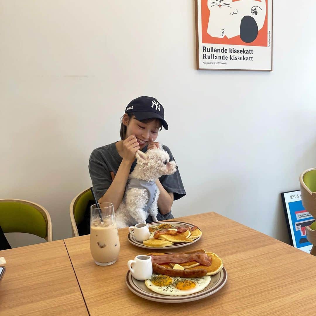 高橋野乃子のグルメインスタ