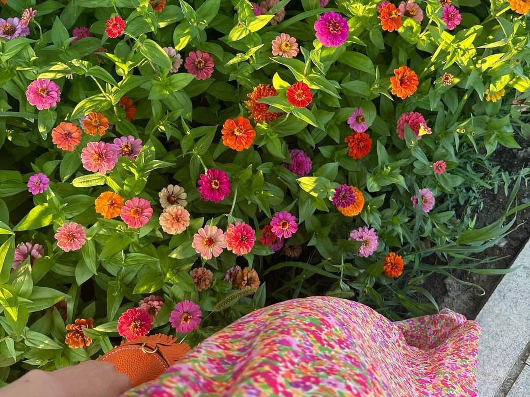 チュ・ギョルギョンさんのインスタグラム写真 - (チュ・ギョルギョンInstagram)「🌸🌼🌺」8月23日 21時01分 - zhou_jieqiong1216