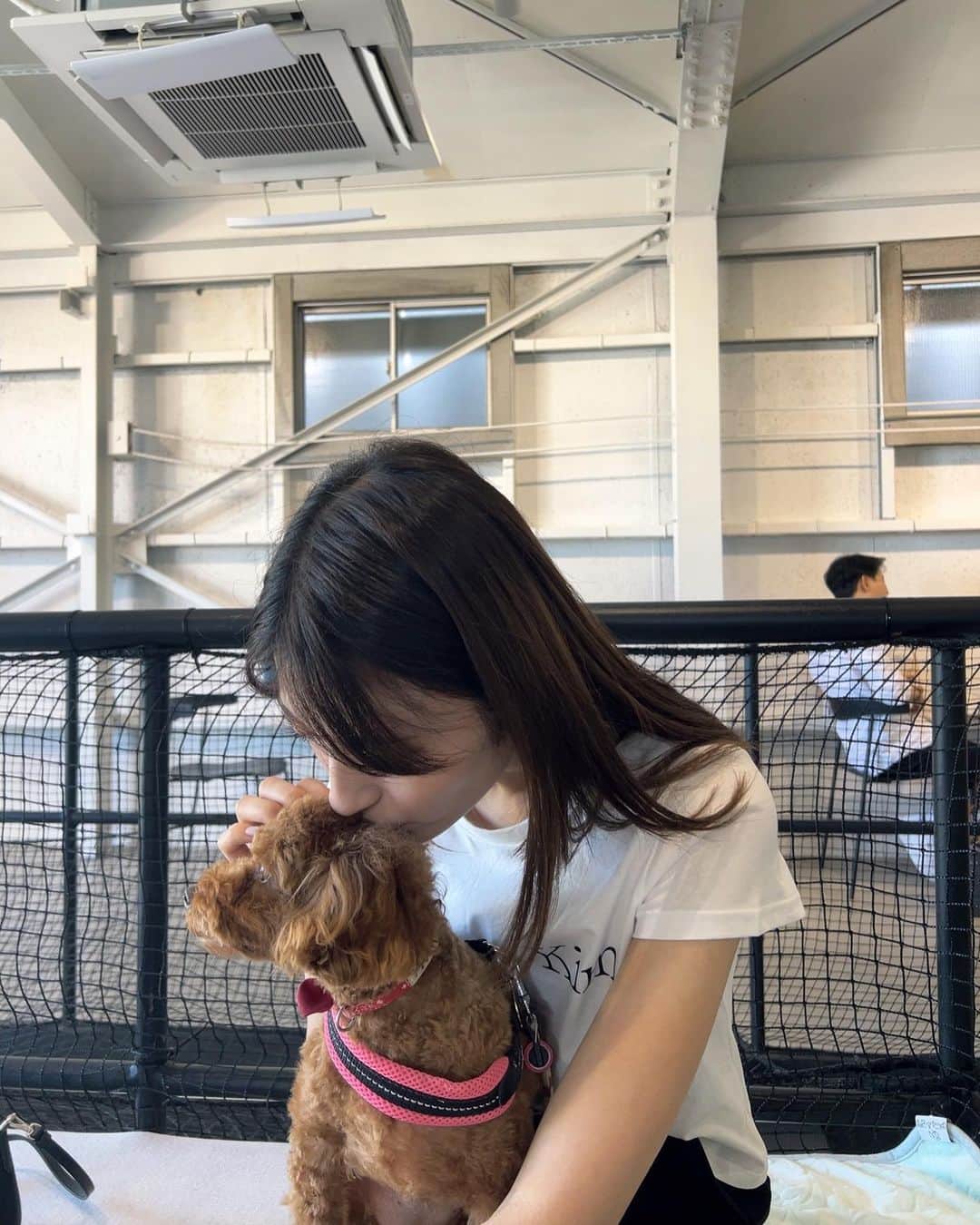 小山莉奈さんのインスタグラム写真 - (小山莉奈Instagram)「🐶🐾🎀🩵 . #lensis #レンシス #カラコン #カラコンレポ  #ルナグレー #自然に盛れる #自撮り #메이크 #일상 #대일리 #뷰티 #뷰티스타그램 #셀카 #셀스타그럼 #셀피 # 얼스타그람 #메이크업」8月23日 21時02分 - koyama_rina