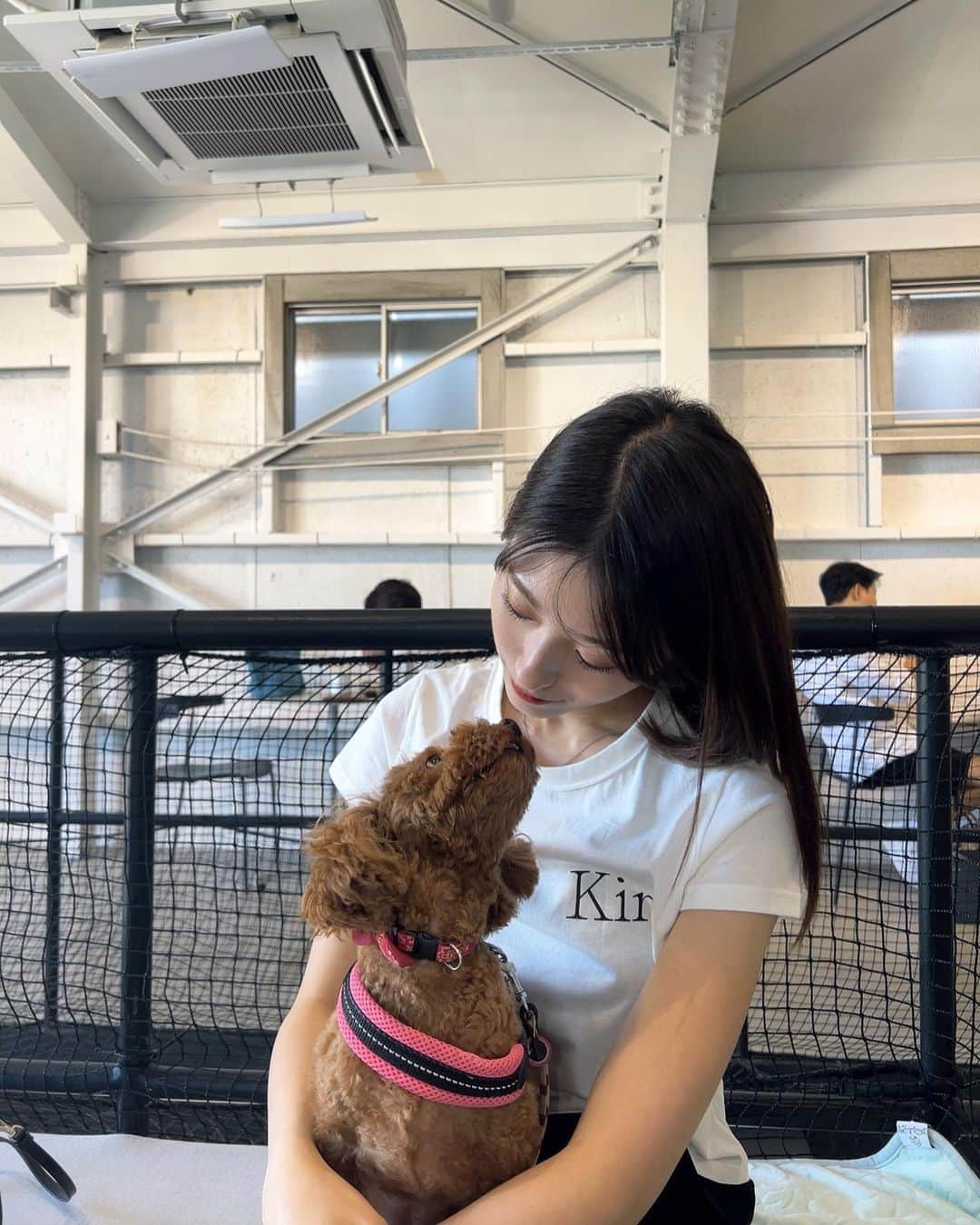 小山莉奈さんのインスタグラム写真 - (小山莉奈Instagram)「🐶🐾🎀🩵 . #lensis #レンシス #カラコン #カラコンレポ  #ルナグレー #自然に盛れる #自撮り #메이크 #일상 #대일리 #뷰티 #뷰티스타그램 #셀카 #셀스타그럼 #셀피 # 얼스타그람 #메이크업」8月23日 21時02分 - koyama_rina