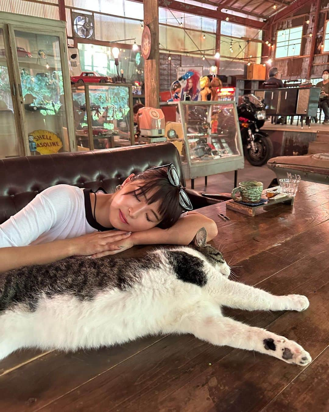 ききまるさんのインスタグラム写真 - (ききまるInstagram)「だらーーん . . 静岡の猫とぐだれるカフェ🌿  冷房がないので注意⚠️ .  .  ねこ様たちかわいかったぁ🐈  . .  📍Antique Cafe Road 静岡県掛川市大野 1776-7 .  . #無加工も可愛いと言われたい  . . .  -----------------------------  💠インスタ歴10年現在フォロワー45万人 💠猫と犬と東京のど真ん中で暮らす26歳 💠事務所無所属(フリーランス) 💠TikTok & Twitter & Therdsも 💠#旅行　#サウナ　#ダイエット  ㊙️サブスクリクションスタートしました！  →  毎日限定投稿中🙌💗登録よろしくねん  フォロー、保存、コメント嬉しいです✨       (((( 　@kikigram_97 ))))   -----------------------------  . #静岡県西部 #静岡 #静岡観光 #静岡旅行 #静岡カメラ部 #静岡デート #静岡ドライブ #国内旅行　#国内旅行好き #国内旅行大好き #旅行 #旅行コーデ #旅行好き #ドライブスポット #ドライブスポット #ドライブデート　#静岡カフェ　#カフェ巡り　#静岡カフェ巡り #静岡カフェ部 #静岡カフェ西部」8月23日 21時42分 - kikigram_97