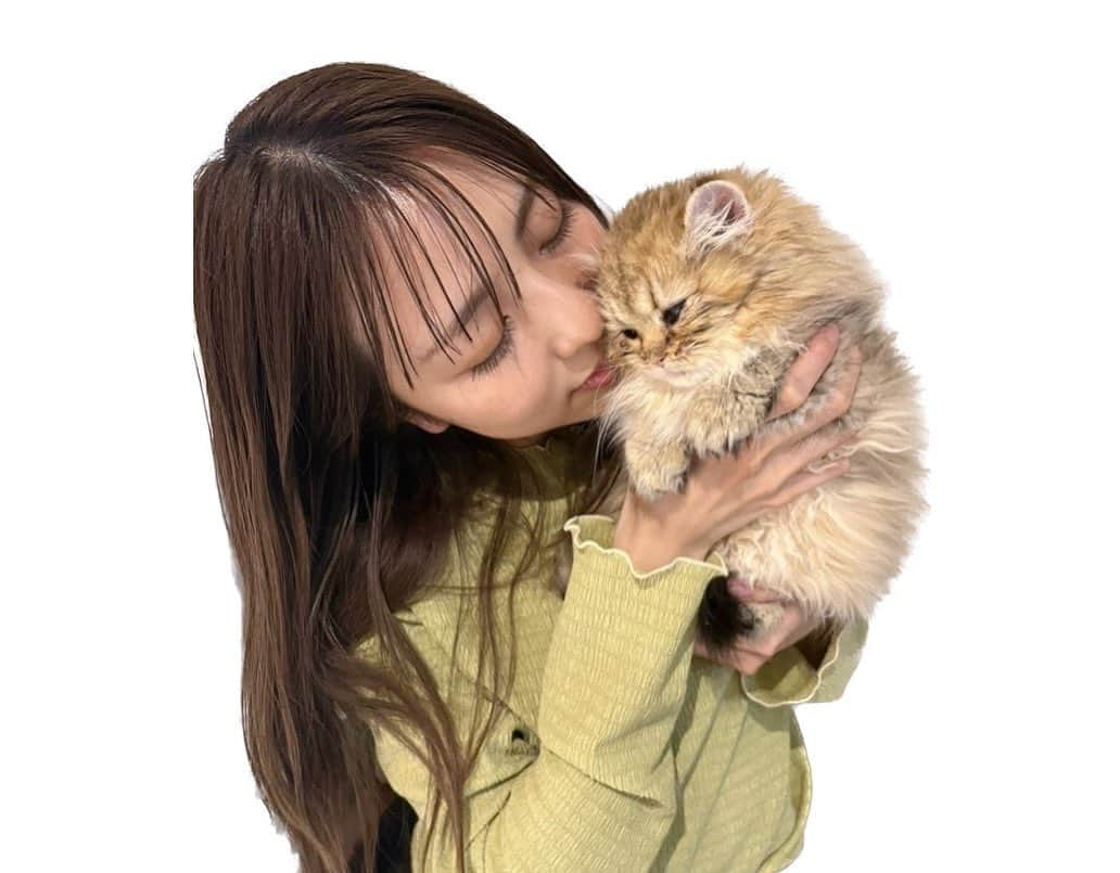 小島梨里杏さんのインスタグラム写真 - (小島梨里杏Instagram)「あもとの歴史。  🦁🐼🐱  おっきくなったね。  (2枚目以降は家に来たての赤ちゃんライオン orレッサーパンダ時代です)  あもちゃんの特技は よく喋ることと、お座り。  朝から晩まで愛まみれの日々 ありがとう。」8月23日 21時52分 - r_riria