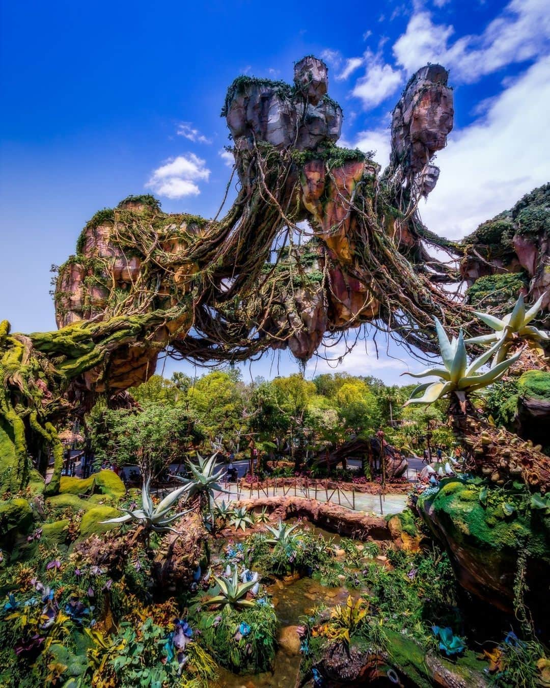 Walt Disney Worldのインスタグラム：「A view that’s out of this world! ✨ Drop a 💚 if Pandora is your first stop at #AnimalKingdom. (📸: @jackcrousephoto)」