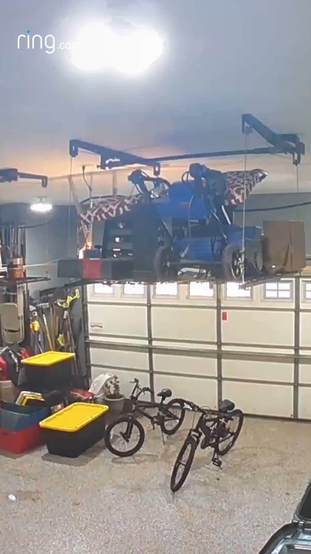 Amazonのインスタグラム：「Amazon Key In-Garage Delivery: Helping make sure your Amazon packages – and chickens – don't fly the coop.   📹: @Ring」