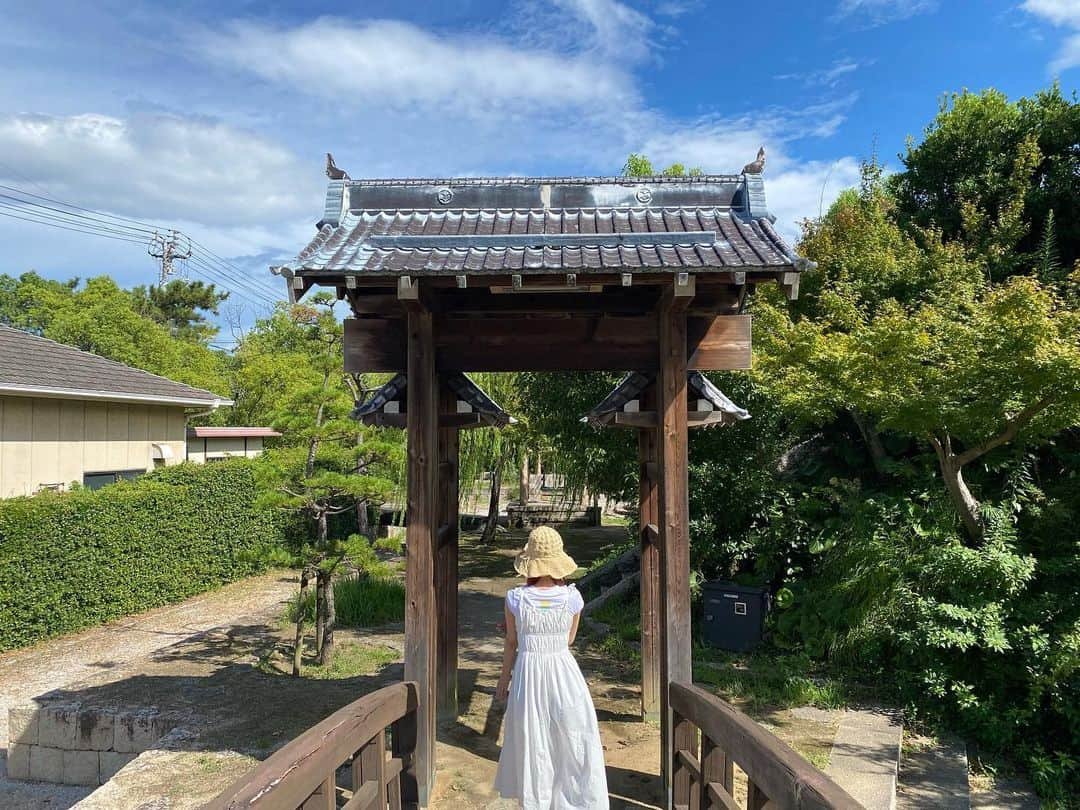 阿知波妃皇さんのインスタグラム写真 - (阿知波妃皇Instagram)「🍀🪿🌾🪺🪻」8月23日 22時31分 - achinami