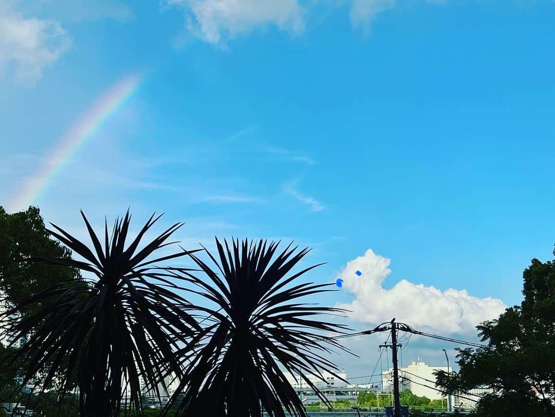 奥井亜紀のインスタグラム：「虹🌈と犬🐕にみえた雲☁️ 飼ってた犬を思い出して うるうるした🥹 名前はブリンキー #お散歩は三歩でも良し」