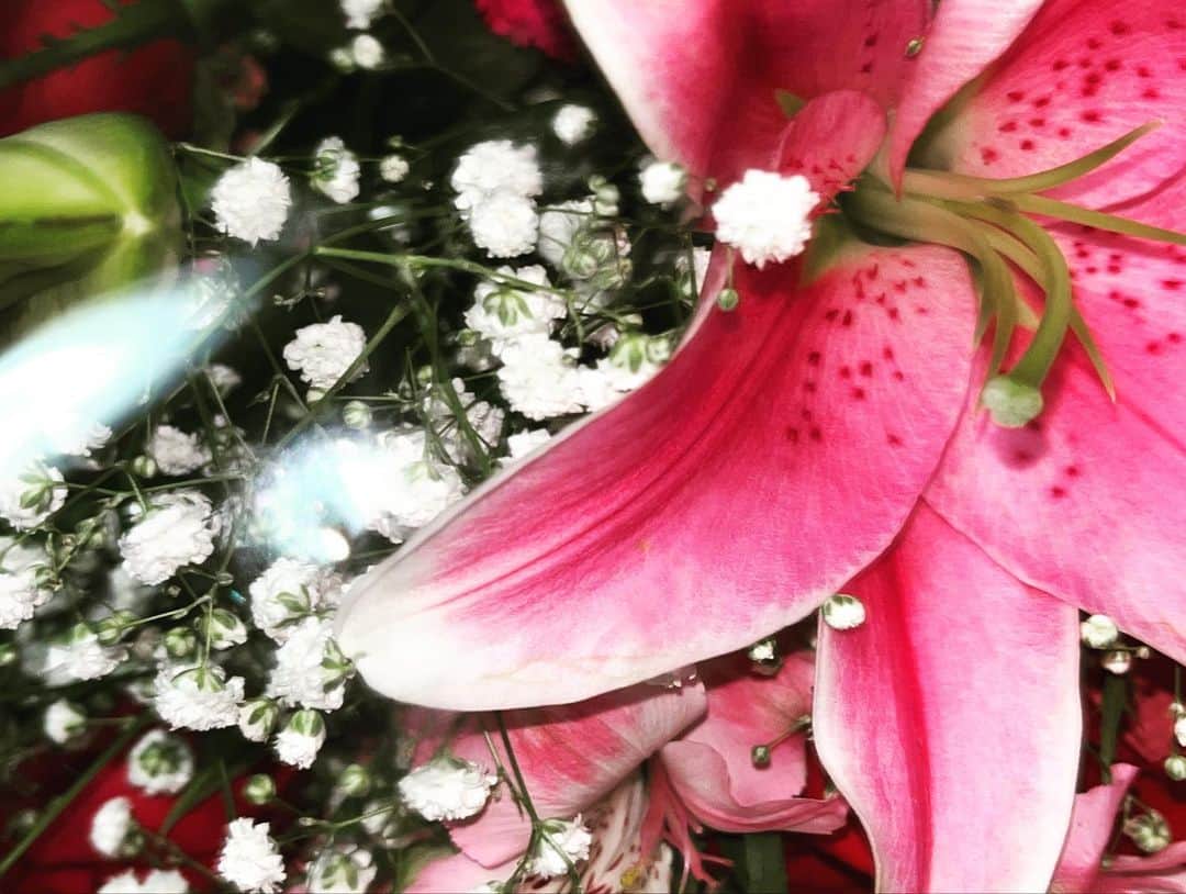 瀬戸かほさんのインスタグラム写真 - (瀬戸かほInstagram)「妹が撮ってくれた！  素敵な花束をいただきました💐 ありがとうございました🦀」8月23日 23時18分 - kahoseto06