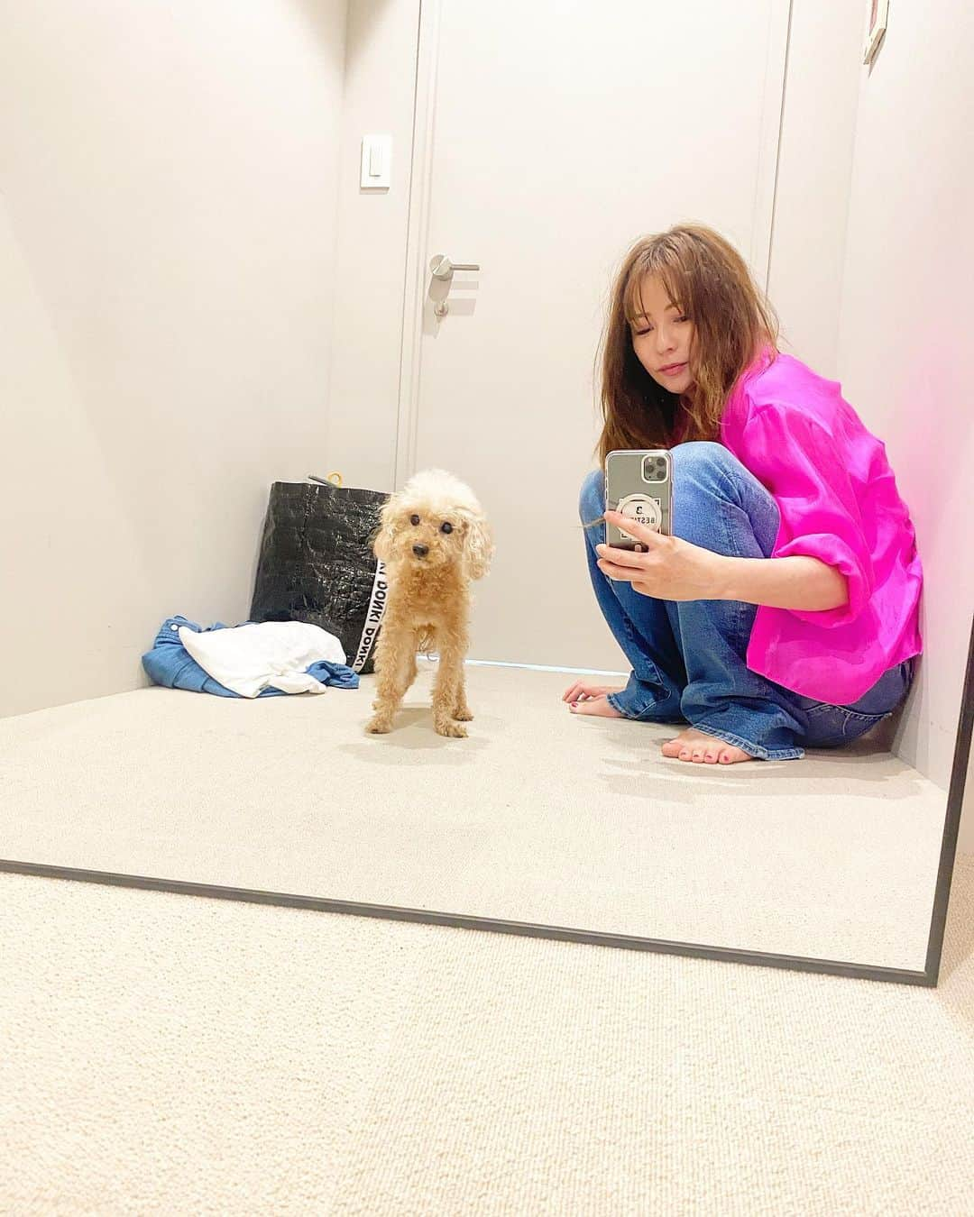 香里奈さんのインスタグラム写真 - (香里奈Instagram)「Happy Birthday 🎆 my cutie dog #HANABI !! 🌺✨  #はなび #birthdaygirl #🎂 #🥂 just turned #15yearsold  #stayhelthy !! #20230823 #toypoodle #🐩 #🧡 #seniordog  my #bestie #BESTIES #lovefamily #甲子園決勝日 #⚾️ #✨ #香里奈 #karina」8月23日 23時44分 - karina_official_221