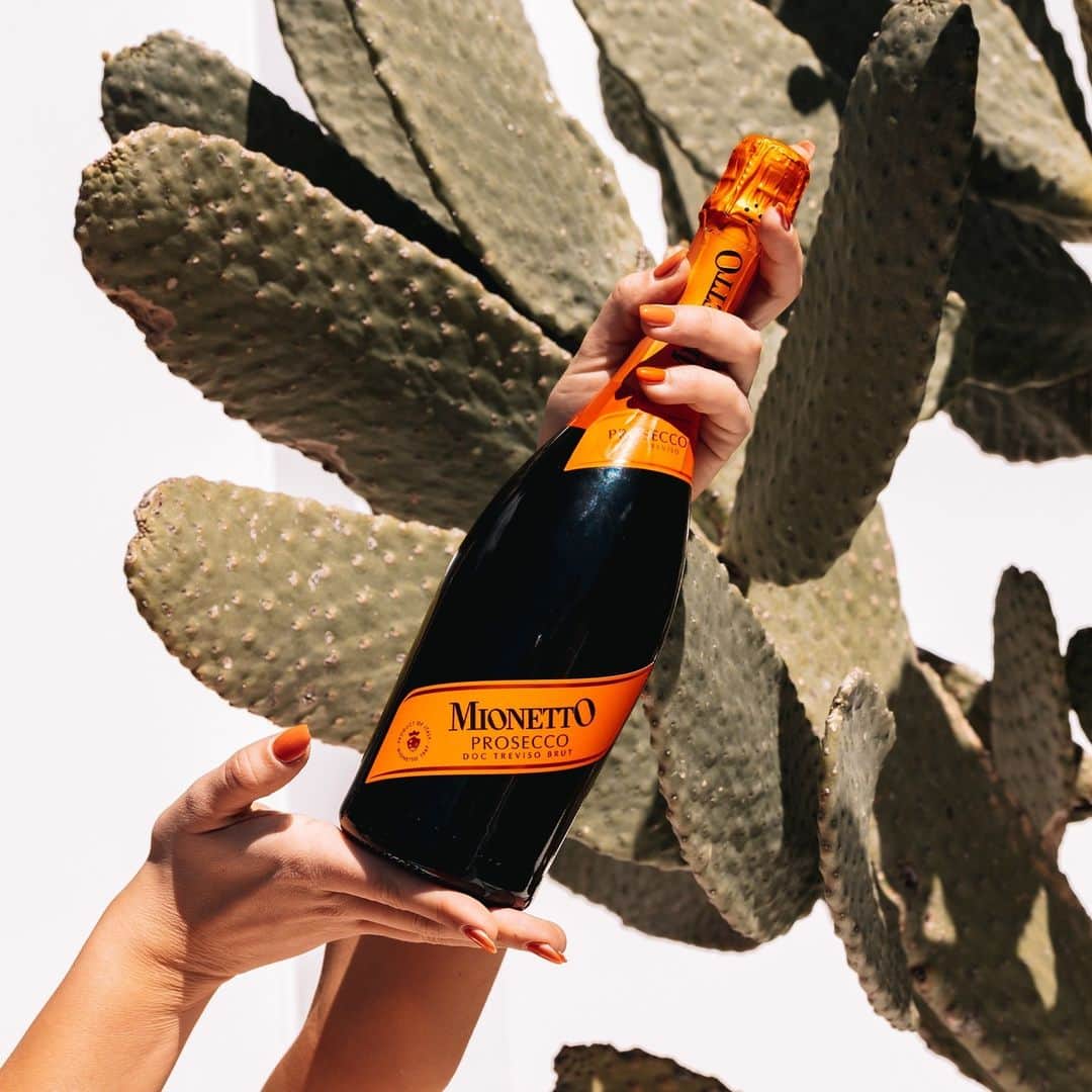 Mionetto USAのインスタグラム：「Allora! We are only two days away from our August 25th Giveaway! 🧡 Tell your amici to tell their amici to follow @mionettoproseccousa and toggle your notifications so you can get notified when Mionetto Prosecco goes live! Cin Cin! 🍾  #MionettoProsecco #EnterOurGiveaway #TripToItaly  Mionetto Prosecco material is intended for individuals of legal drinking age. Share Mionetto content responsibly with those who are 21+ in your respective country. Enjoy Mionetto Prosecco Responsibly.」