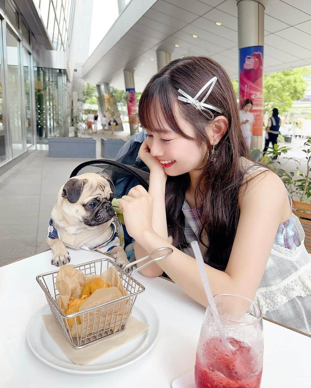 近藤沙瑛子さんのインスタグラム写真 - (近藤沙瑛子Instagram)「おはよう🐶」8月24日 10時54分 - saekondo_inu