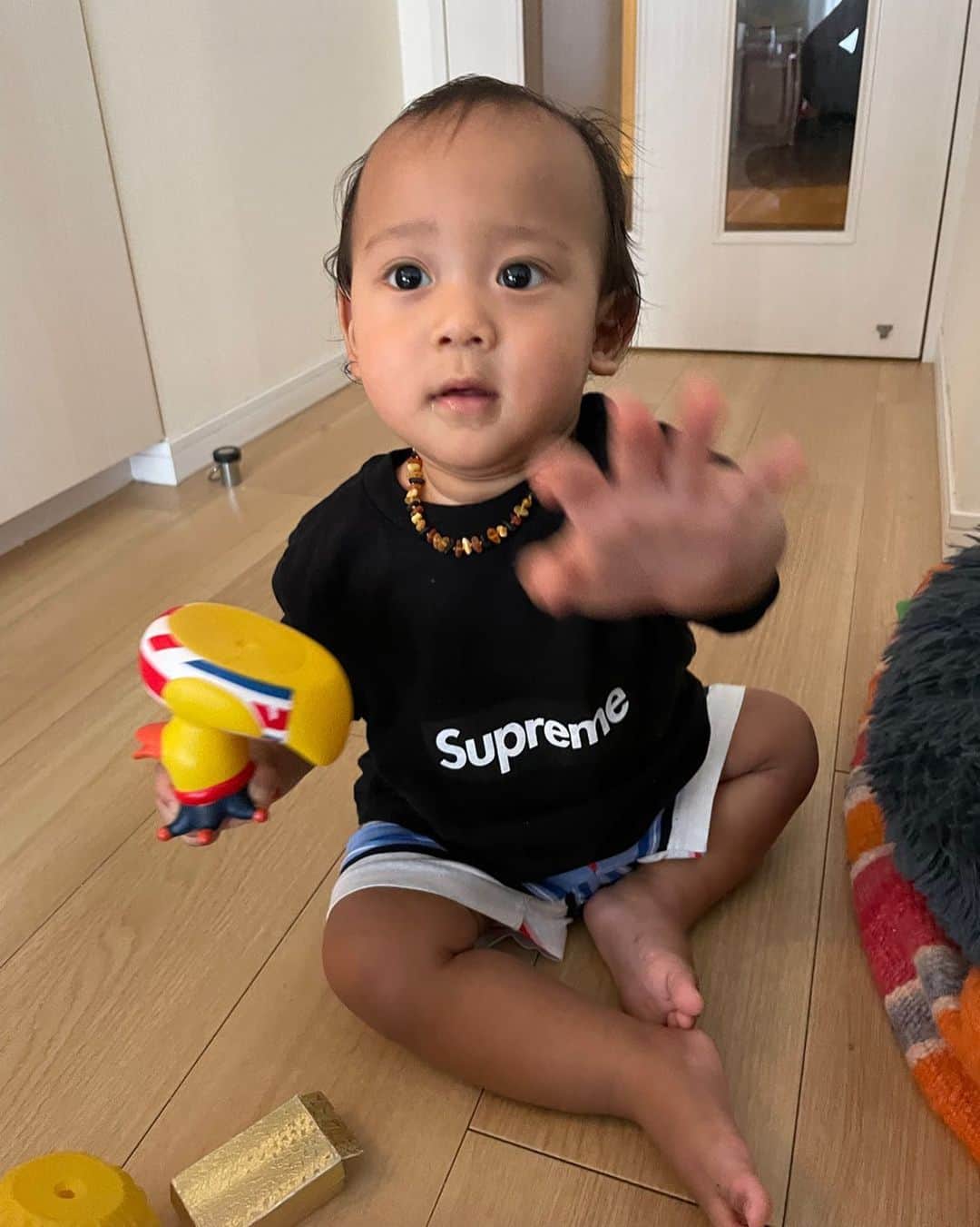 mao mitsuiのインスタグラム：「Those are all Jasper's toys 🐥」