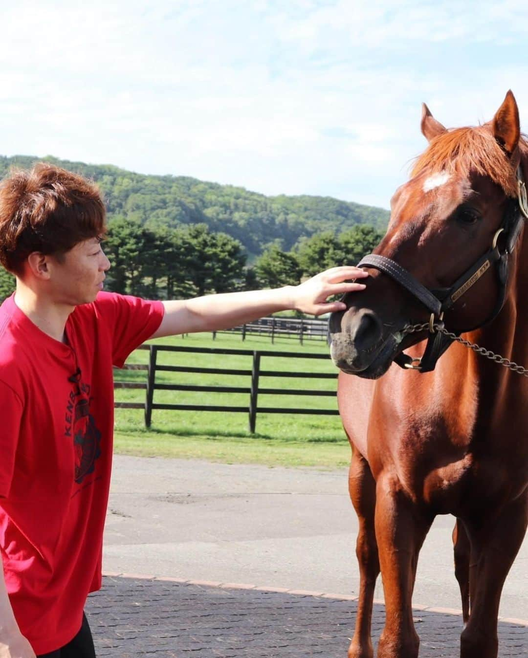 池添謙一さんのインスタグラム写真 - (池添謙一Instagram)「ヤマカツエースが引退してから初めて会ってきました(^^) 元気でなにより🐴  詳しくは謙聞録にて  #アロースタッド #ヤマカツエース」8月24日 11時16分 - kenchan.0723