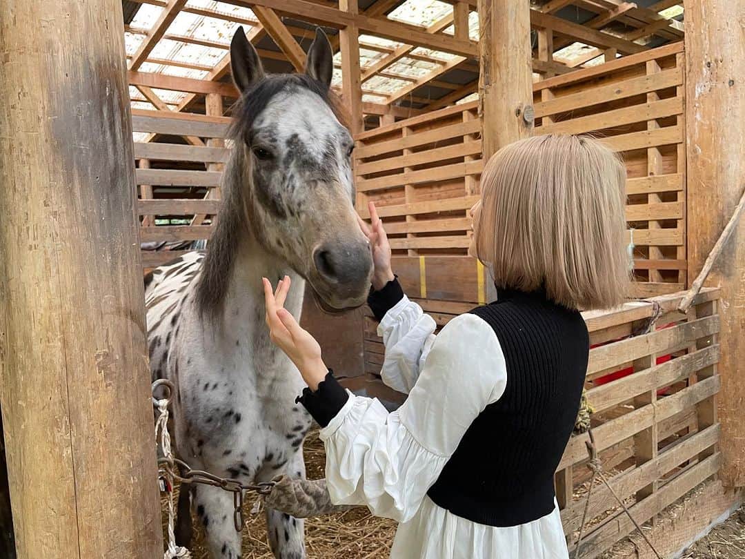 華妃 のインスタグラム：「投稿していない写真が いっぱい🐴  よく、馬車馬のように働くと言いますけれども 「社長だからそんなに働けるんですよ」 って言われることしばしば。  華妃(仕事大好きで頭おかしい)だから という意味ではなくて、 社長だし働いた分お金になるから という意味で受け取っているけれども  ナンセンスすぎるー！！！  そういう人は 働いた分お金になる環境に行っても やらない🥹  もしその環境でならやれる！ と思うなら保証がない世界、 ぜひその環境に飛び出してくださいませな。  家族がいるから保証が欲しい人もいるのでしょうけど 家族を作ったのもあなたの選択。  周りが結婚！子ども！フィーバーの中 家族を持たない選択をしているのが私。  現実を受け入れられない人、 現実にただ文句を言うだけで何もしない人、  それもまた選択だから それでいいならそれでいい😂  社長になったって 自由にお金が使えるわけじゃないのに 誰よりも働かないといけないし 責任は重いし🫥  その人の立場になって考える って難しいし、 私もアルバイトやペーペーの時は 社長、なに言うてんの？ 店長、携帯触ってるやん！  とか思っていたこともありますけれども  この人達は、 ペーペーも経験済みで 私はこの時、 ペーペーしか経験がなかったから どうやっても人の立場（上司の立場） になれるわけなかったんですよね。  なったことがない他人の立場には 所詮、妄想の範囲でしかなれませんので 個人的には人の立場になるって無理だと思っていて だからこそ、 自分が想像する倍以上の「なにか」が あると思うことにしています〜  乗馬は、1度やってみたかったので 去年行ってきたときの写真✌️   #乗馬 #馬 #クリオステーブル #埼玉」