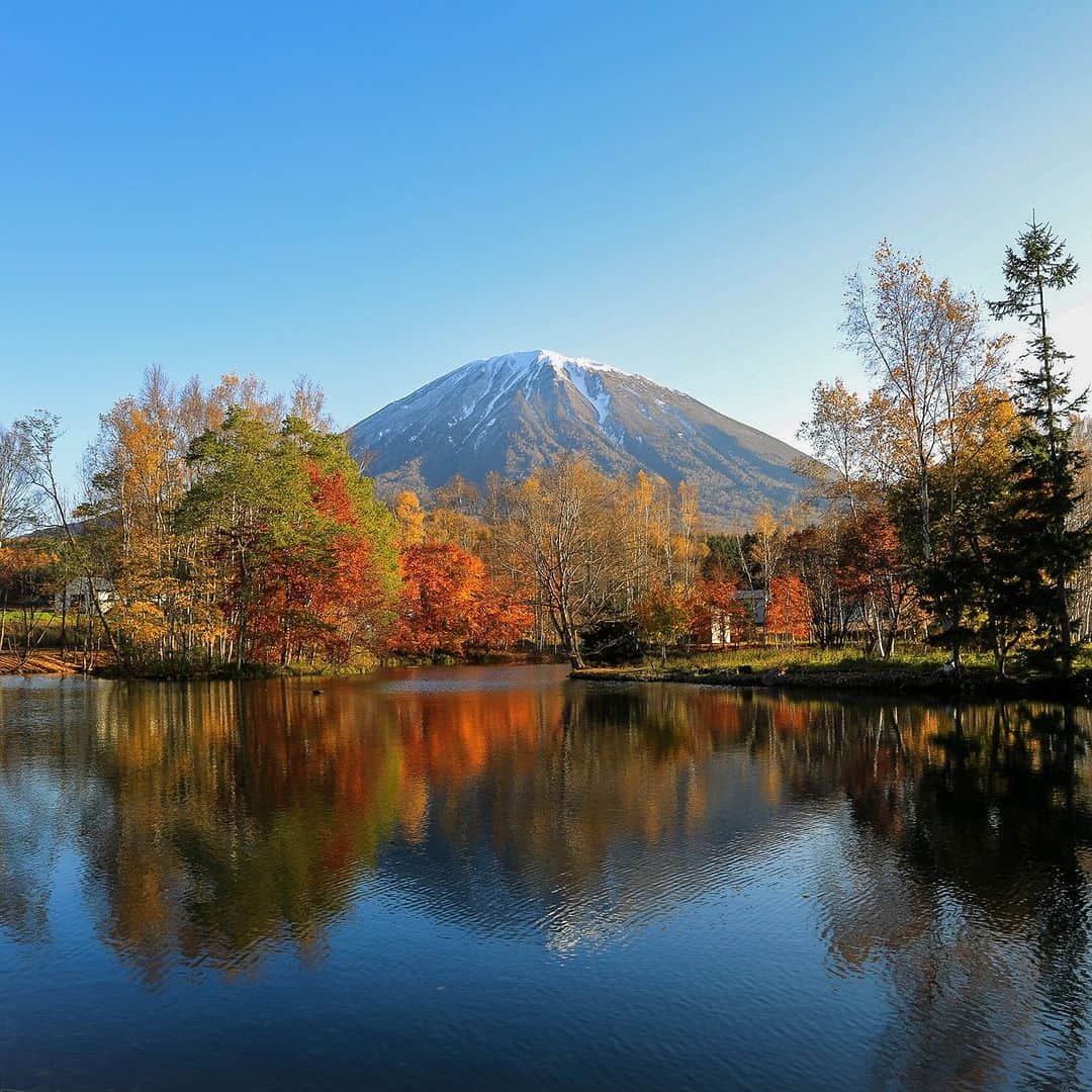 北海道じゃらん【公式】さんのインスタグラム写真 - (北海道じゃらん【公式】Instagram)「秋はすぐそこ！絶景をめぐるニセコ旅へ♪  北海道旅行の魅力といえば、自然豊かな絶景に出会えること！ 特に秋は紅葉などもあり、より自然が映える季節でもありますよね！  羊蹄山の麓に位置するニセコエリアにはたくさんの絶景スポットがあり、旅のどこかで必ず出会えるはず。 今回は秋のニセコ絶景をめぐるスポットをご紹介いたします♪  ＼ドライブで巡る！おすすめ絶景スポット／ １枚目　羊蹄姿見池 ２枚目　ニセコ大橋  ＼ニセコならではのレジャーで自然を満喫／ ３枚目　ニセコビレッジ自然体験グラウンド「ピュア」 　　　　　北海道ライオンアドベンチャー  ＼グルメも見逃せないおすすめ飲食店／ 4枚目　Restaurant J'ai la patate   Pi-kan rollpizza. 5枚目　Patty Daddy Buger   Soup Curry &　Bar Jamii  ＼ホテルからもじっくり絶景を堪能／ 6枚目　ニセコアンヌプリ温泉　湯心亭 7枚目　ザ・グリーンリーフ・ニセコビレッジ 8枚目　シャレーアイビーヒラフ 9枚目　綾ニセコ 10枚目　ニセコランドマークビュー  各スポットの詳しい紹介は北海道じゃらん9月号　P122～をチェック♪  #北海道じゃらん #北海道じゃらん9月号 #ニセコ　#ニセコグルメ　　#ニセコカフェ　#ニセコランチ　#倶知安町　#ニセコ町　#倶知安グルメ　#倶知安カフェ　#絶景　#絶景スポット　#北海道旅行　#北海道　#北海道グルメ　#北海道観光　#PR」8月24日 12時00分 - hokkaido_jalan