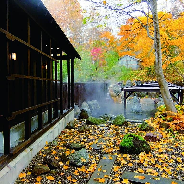 北海道じゃらん【公式】さんのインスタグラム写真 - (北海道じゃらん【公式】Instagram)「秋はすぐそこ！絶景をめぐるニセコ旅へ♪  北海道旅行の魅力といえば、自然豊かな絶景に出会えること！ 特に秋は紅葉などもあり、より自然が映える季節でもありますよね！  羊蹄山の麓に位置するニセコエリアにはたくさんの絶景スポットがあり、旅のどこかで必ず出会えるはず。 今回は秋のニセコ絶景をめぐるスポットをご紹介いたします♪  ＼ドライブで巡る！おすすめ絶景スポット／ １枚目　羊蹄姿見池 ２枚目　ニセコ大橋  ＼ニセコならではのレジャーで自然を満喫／ ３枚目　ニセコビレッジ自然体験グラウンド「ピュア」 　　　　　北海道ライオンアドベンチャー  ＼グルメも見逃せないおすすめ飲食店／ 4枚目　Restaurant J'ai la patate   Pi-kan rollpizza. 5枚目　Patty Daddy Buger   Soup Curry &　Bar Jamii  ＼ホテルからもじっくり絶景を堪能／ 6枚目　ニセコアンヌプリ温泉　湯心亭 7枚目　ザ・グリーンリーフ・ニセコビレッジ 8枚目　シャレーアイビーヒラフ 9枚目　綾ニセコ 10枚目　ニセコランドマークビュー  各スポットの詳しい紹介は北海道じゃらん9月号　P122～をチェック♪  #北海道じゃらん #北海道じゃらん9月号 #ニセコ　#ニセコグルメ　　#ニセコカフェ　#ニセコランチ　#倶知安町　#ニセコ町　#倶知安グルメ　#倶知安カフェ　#絶景　#絶景スポット　#北海道旅行　#北海道　#北海道グルメ　#北海道観光　#PR」8月24日 12時00分 - hokkaido_jalan