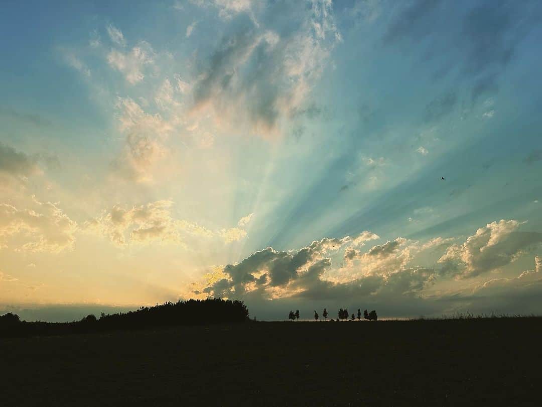 サンドラ・ガルのインスタグラム：「Ordinary or extra-ordinary…we make the call ✨🤍」