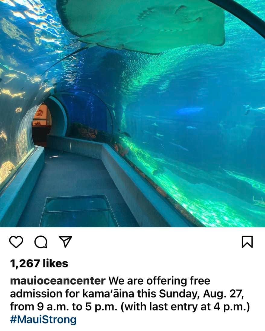 Lanikai Bath and Bodyのインスタグラム：「Mahalo to one of our customers, Maui Ocean Center for offering free admission for kama’aina this Sunday. A moment of peace.  @mauioceancenter」
