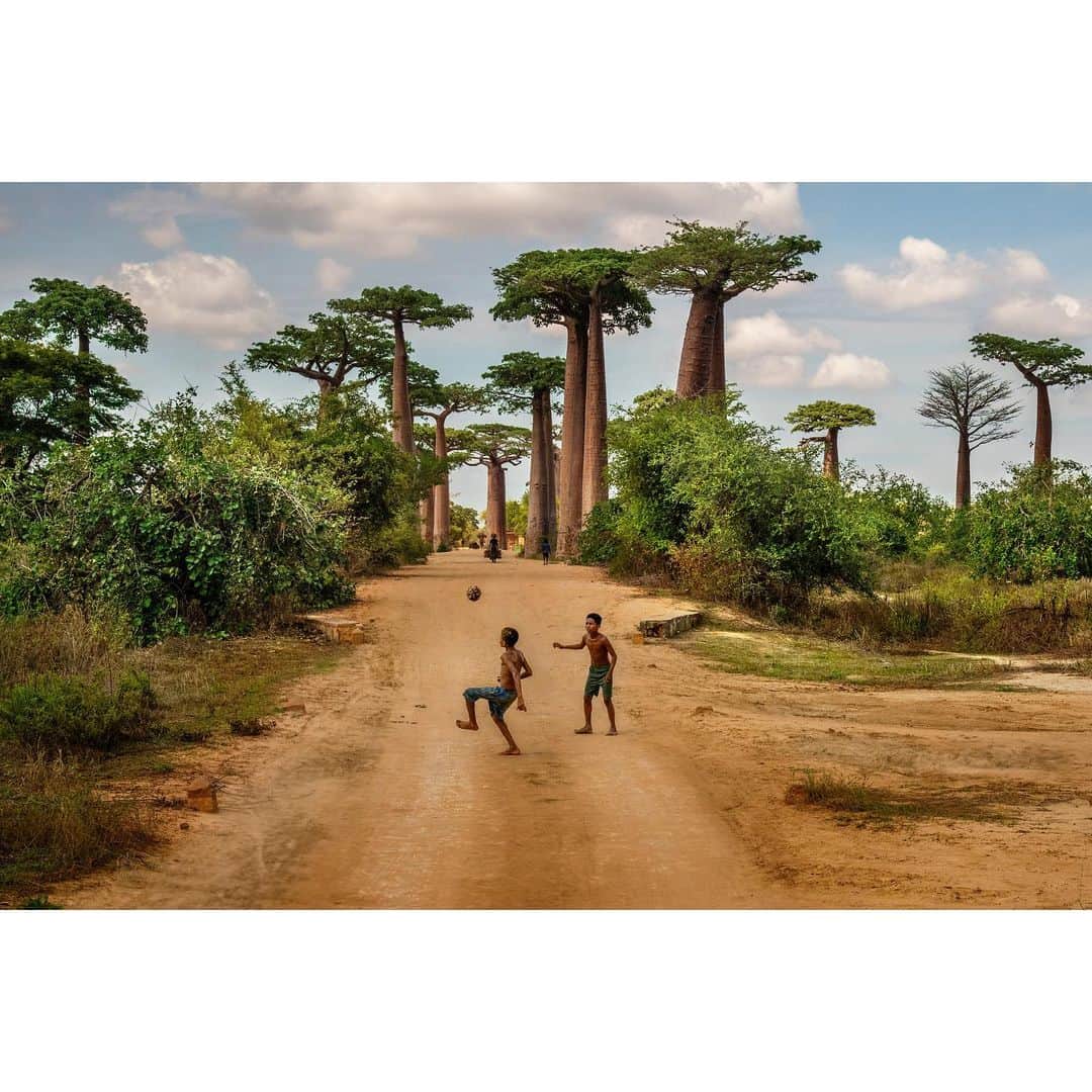 スティーブ・マカリーのインスタグラム：「Kids playing on Baobab Avenue, Madagascar, 2019.」