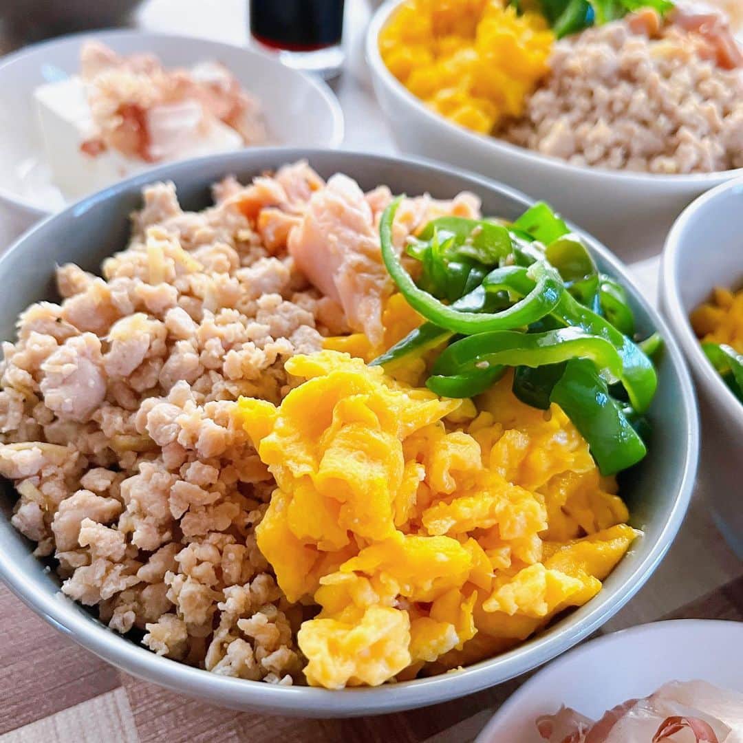トテンのインスタグラム：「昨日の夕ごはん。 早起きして鶏そぼろと鮭フレークを作っておいたのと、 ピーマンの千切りもやっておいたから、 仕事帰りからの準備がだいぶ楽ちんだった🙌🏻  今日は何も決まってないから…とりあえず豚肉を解凍に出しておこう(豚キムチかな🐷) 行ってきまーす。」
