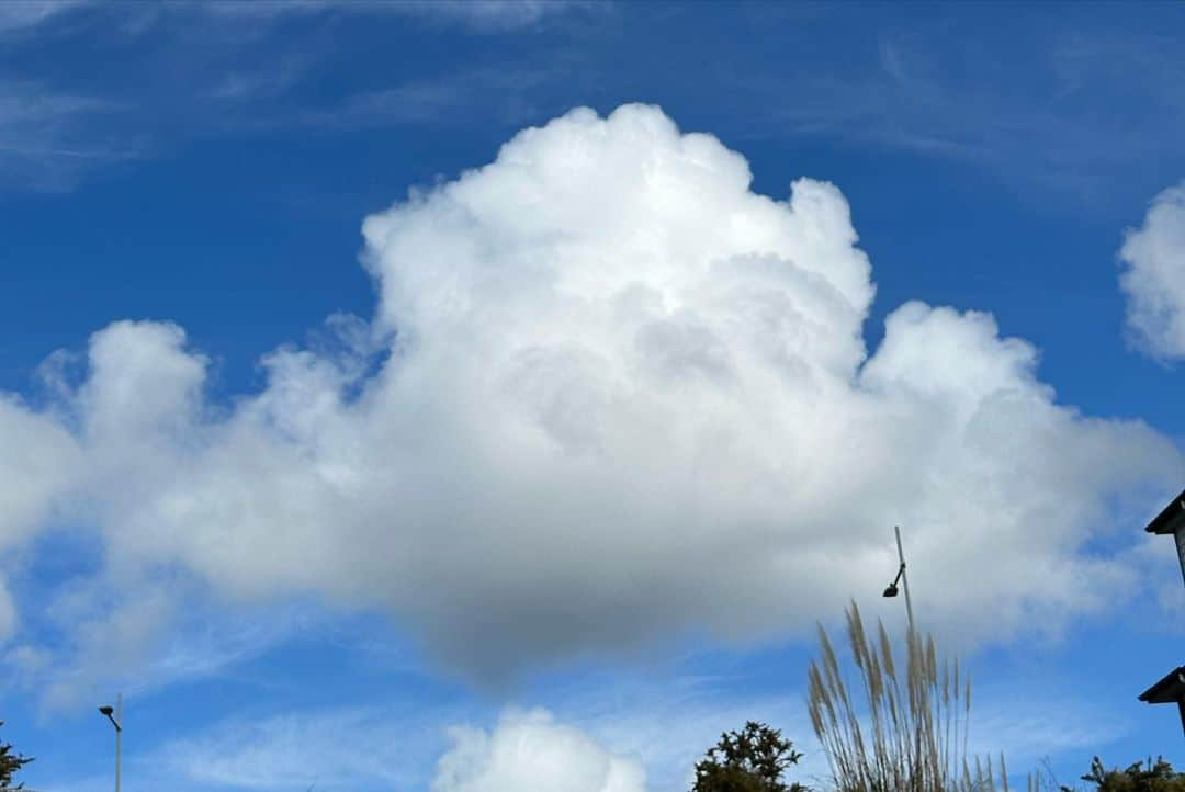 デイジー・クレメンタイン・スミスさんのインスタグラム写真 - (デイジー・クレメンタイン・スミスInstagram)「I think I said “LOOK AT THE CLOUDS!!” At least 4 times a day. I have an embarrassing amount of pictures and videos. I couldn’t help myself - you know I love them! And New Zealand has the best clouds ☁️」8月24日 8時48分 - daisyclementine