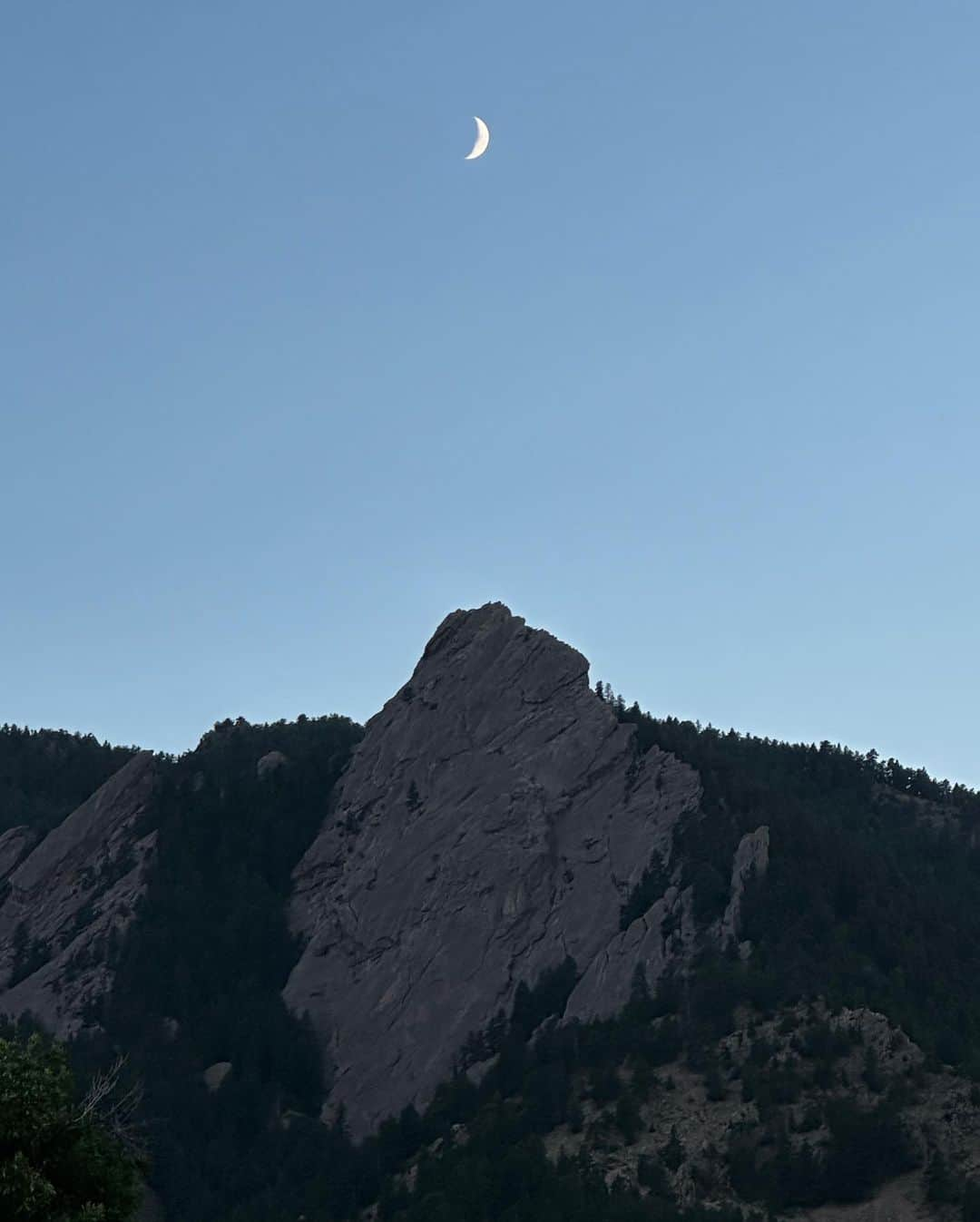 ニーナ・ウィリアムズさんのインスタグラム写真 - (ニーナ・ウィリアムズInstagram)「Celebrated my 33rd spin around this planet doing a bunch of alpine climbing, hiking, and biking topped off by an evening lawn sprawl in the foothills with friends. It was a pretty mega day that I’m still recovering from, definitely one of my less chill birthdays but life in general has been less chill and I really wouldn’t have it any other way. Thank you to everyone who reached out with well-wishes and encouraging words 💛💛 I needed it towards the end!! Hell is riding & roasting on highway 36 through construction and the midday lunch rush 🔥🥵   A special and sincere thank you to Annie & Christine at @theclimbclinic for helping keep my legs healthy. I was worried about limitations in my knees/hamstrings but they are putting me straight!  Here’s to another year of dreaming big ✨💭✨ and big love to the folks in my life who dream with me 💛  #climbing #longspeak #thediamond」8月24日 9時09分 - sheneenagins