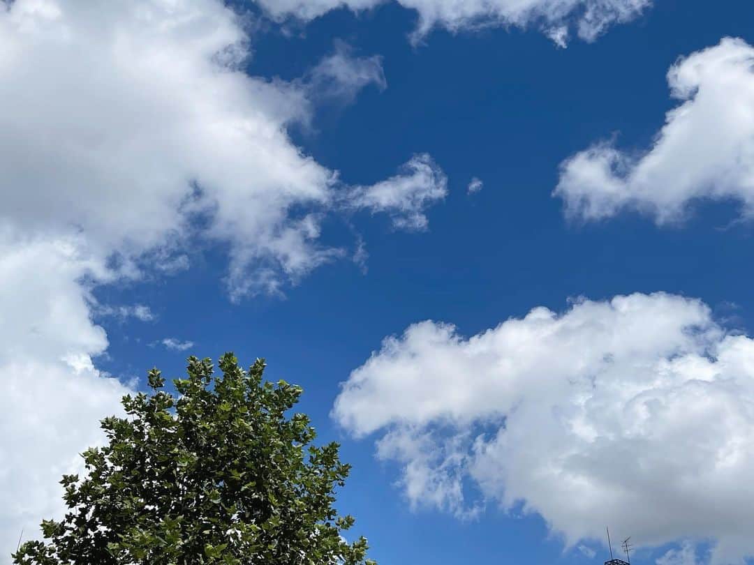 のインスタグラム：「♡♡♡  おはよう~ 今日は天気がいいねえ🌞♡ この後13:00~シブカル 公開生放送あります！ まってます~🤍  #吉田恵芽 #05 #ljk  #シブカル #シブサン」