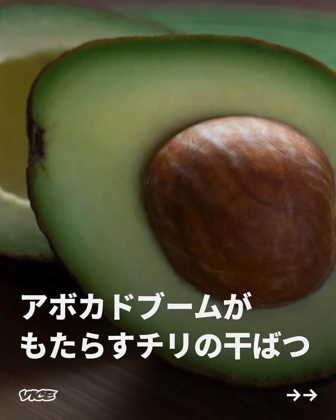 VICE Japanのインスタグラム：「#アボカド ブームのせいで、チリの農業地域、ペトルカでは、生命の源である水が吸いつくされている。世界中からの需要に応えるべく、ペトルカの生産者は違法に地下水を流用してアボカドを栽培している。その結果、干ばつが発生し、住民は政府の給水トラックの水を飲まざるを得ない状況だ。  干ばつを受け、ペトルカの住民にはひとりあたり1日50リットルの水が割り当てられ、トラックで給水されることになった。しかしトラックの水は汚くて、汚染物質まみれだ、と住民は主張する。2014年の水質検査では、本来糞便に含まれる大腸菌が、高いレベルで発見された。  「ヨーロッパ人たちに良質のアボカドを届けるため、私たちは糞便まみれの水を飲む羽目になっているんです」とビルチェスは『The Guardian』のインタビューで訴えた。  記事詳細は @vicejapan プロフィールのリンクから  #vicejapan #vice #ヴァイスジャパン」